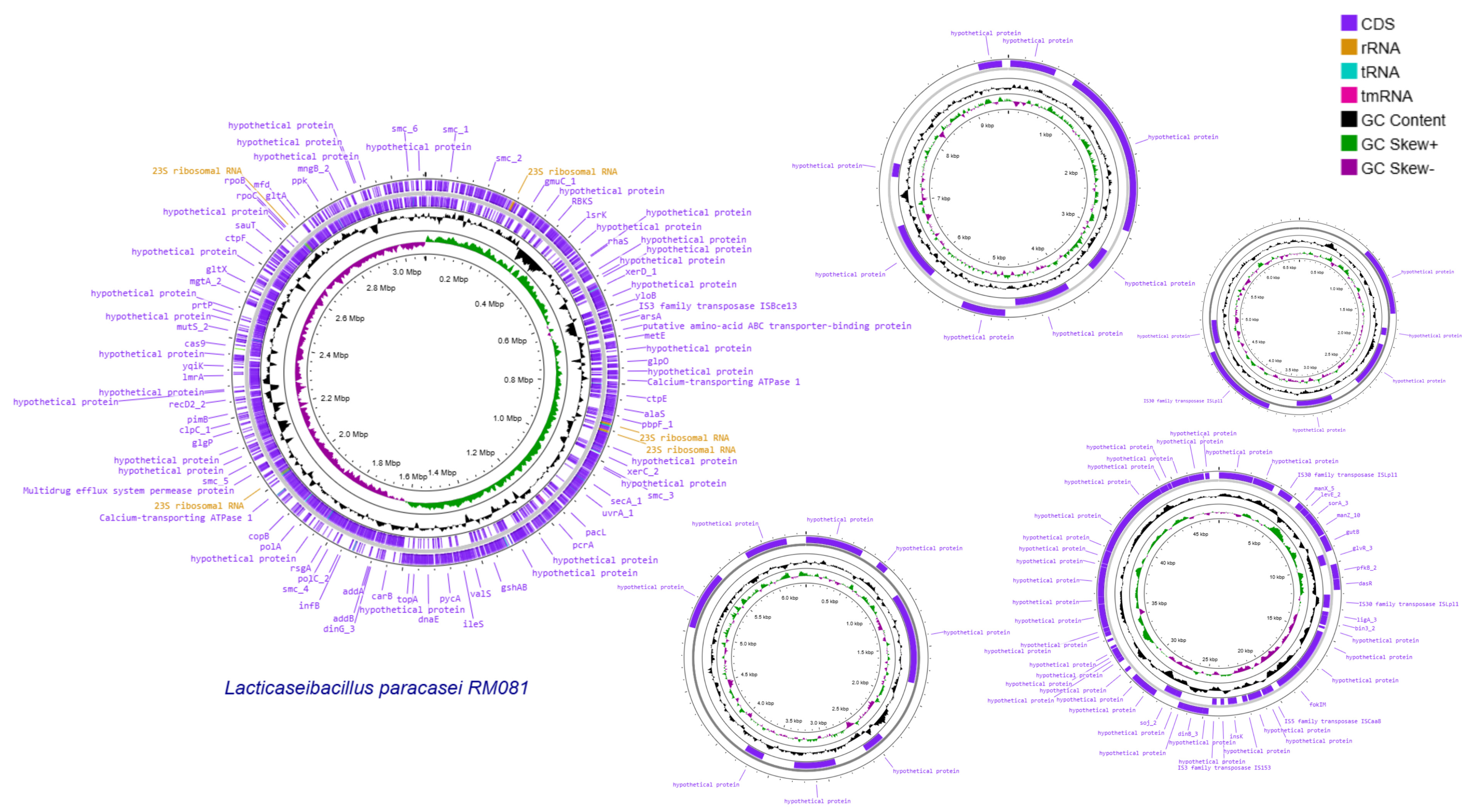 Microorganisms 14 01431 g001 Microorganisms 14 01431 g001