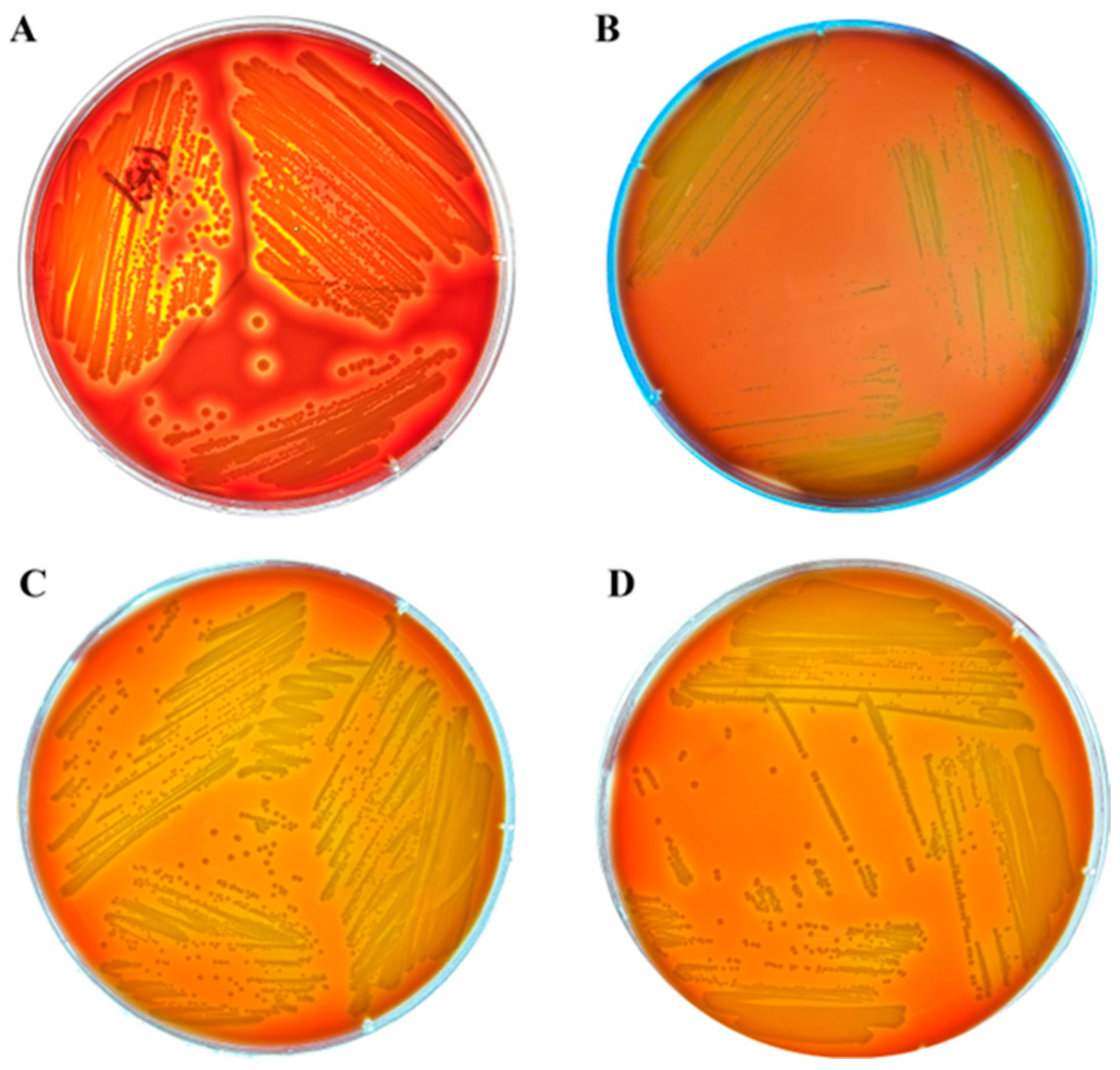 Microorganisms 14 01466 g008 Microorganisms 14 01466 g008
