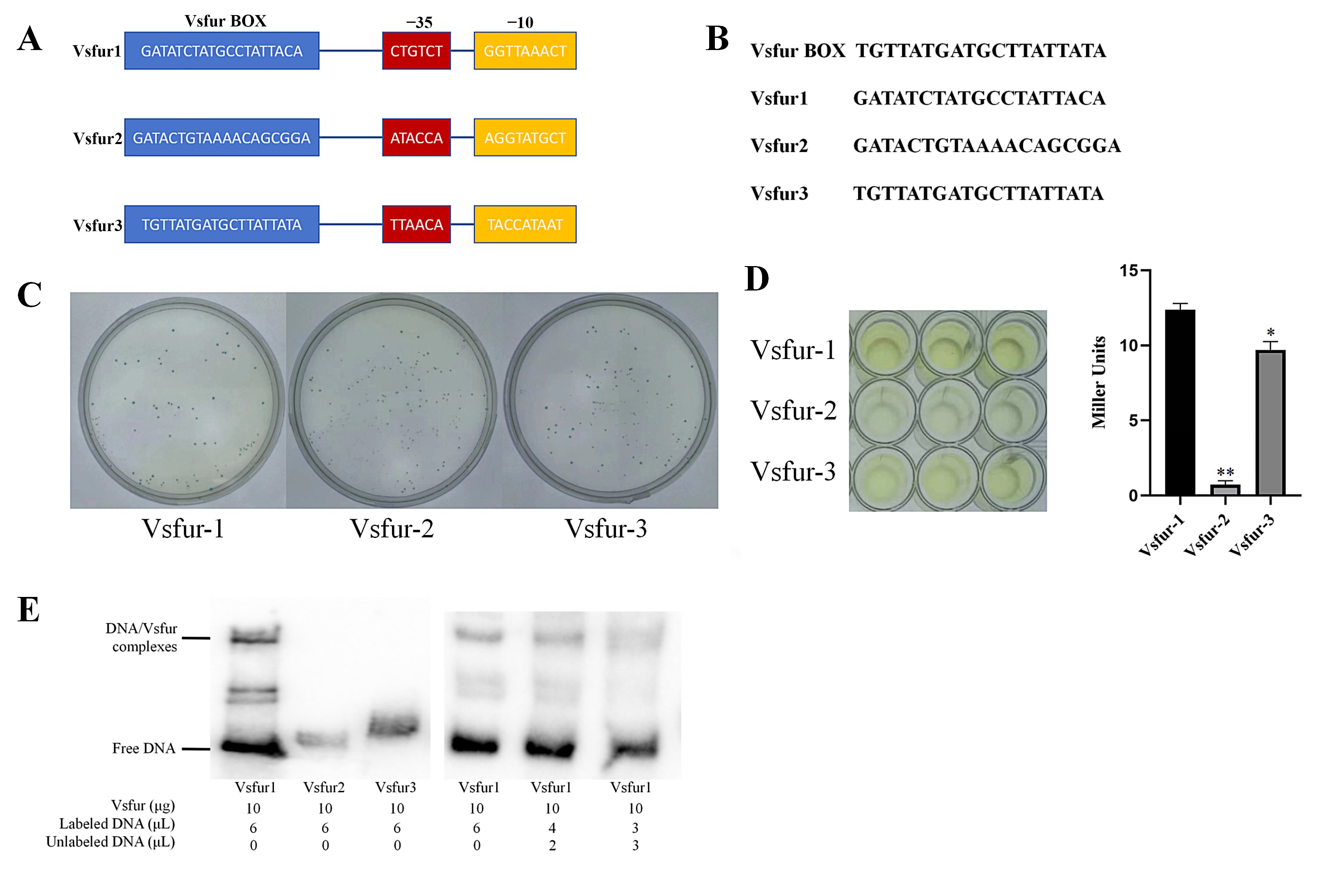 Microorganisms 14 01508 g003
