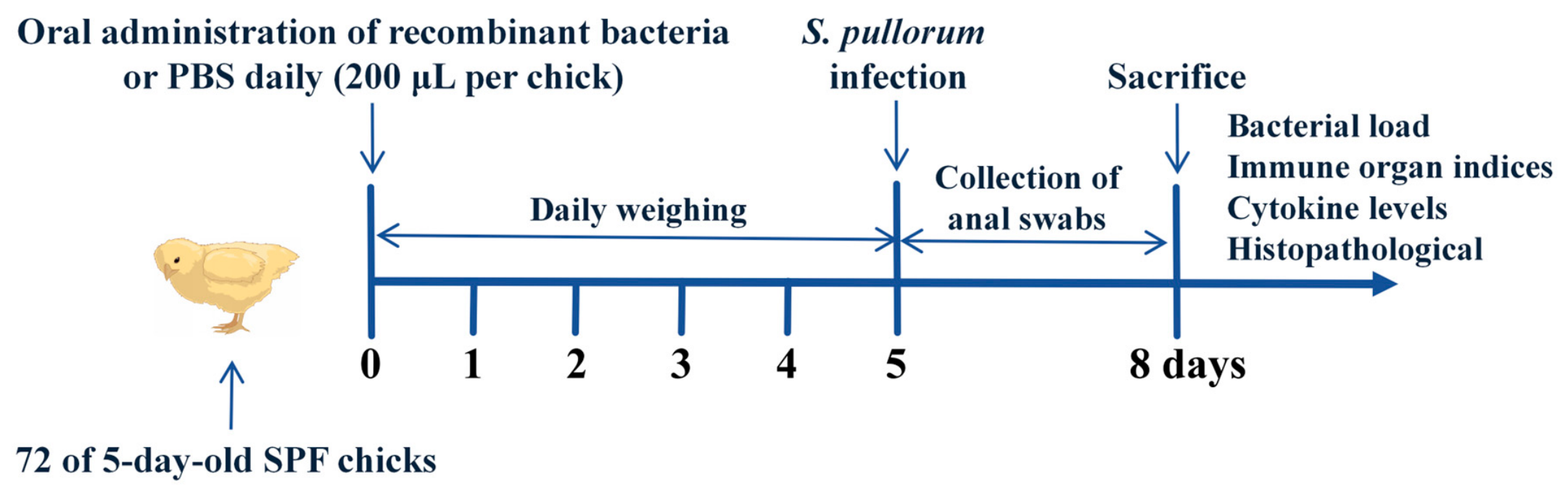 Microorganisms 14 01606 g001 Microorganisms 14 01606 g001