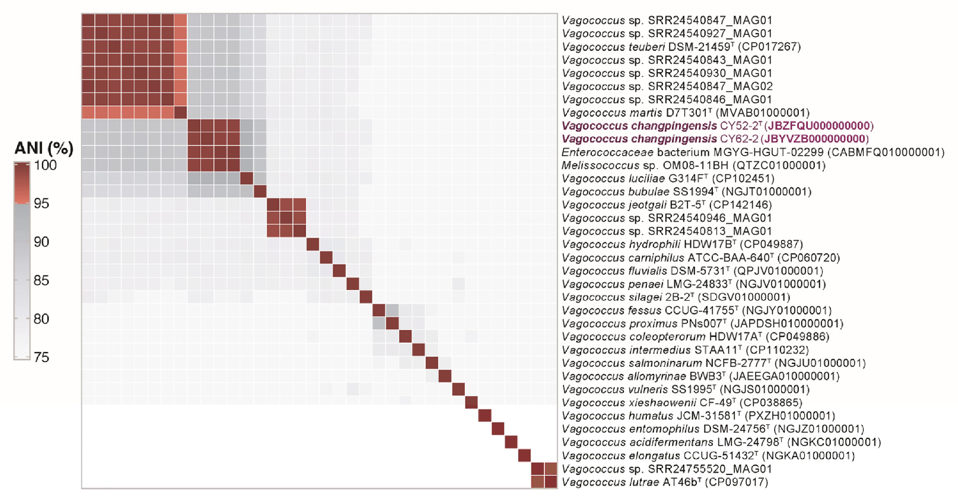Microorganisms 14 01748 g001 Microorganisms 14 01748 g001