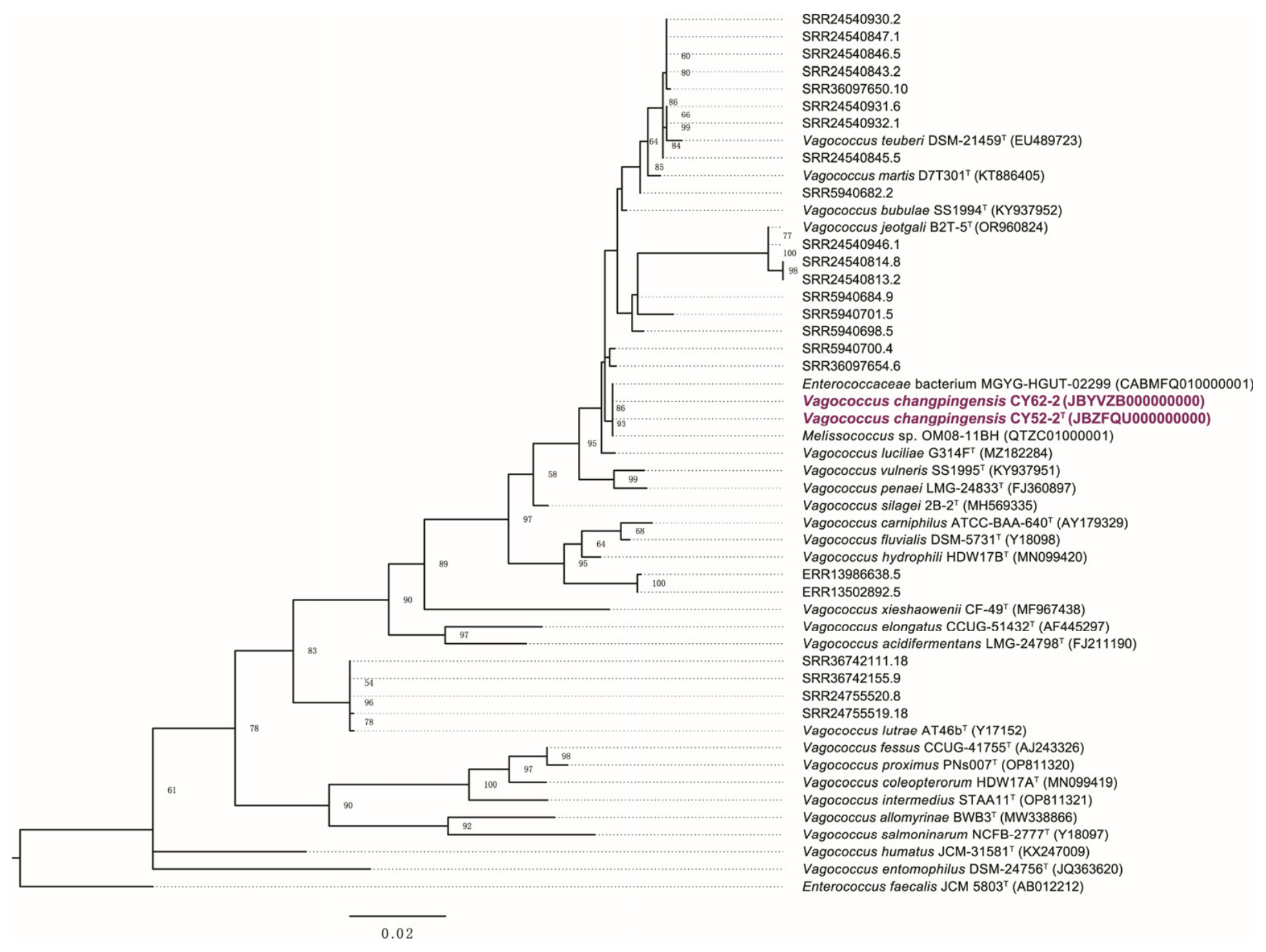 Microorganisms 14 01748 g002 Microorganisms 14 01748 g002