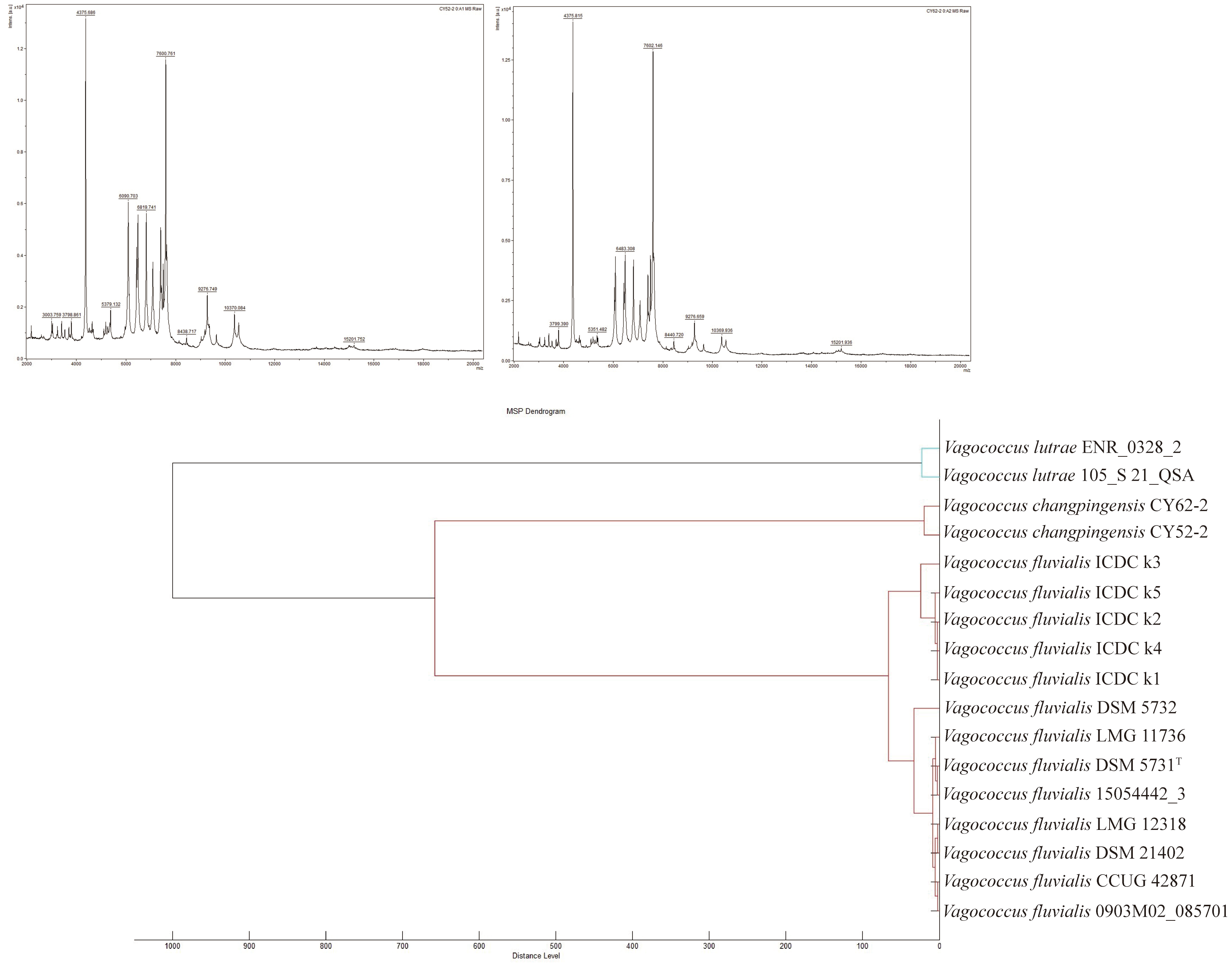 Microorganisms 14 01748 g005 Microorganisms 14 01748 g005