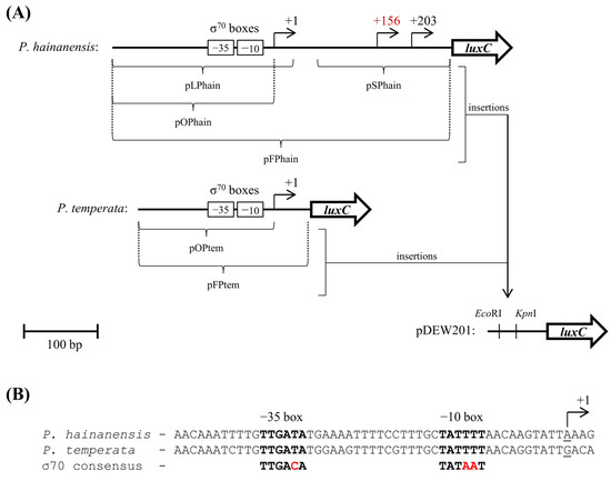 Microorganisms 14 02076 g003