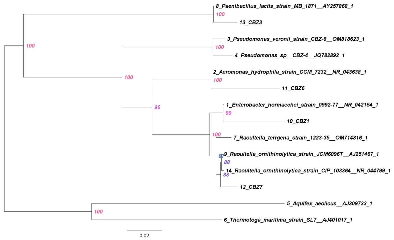 Isolation, Identification and Genomic Characterization of Carbamazepine ...