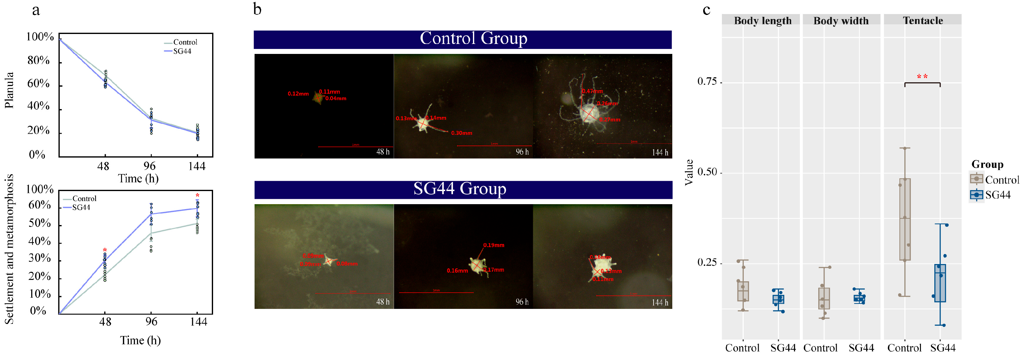 Microorganisms 14 02338 g001 Microorganisms 14 02338 g001