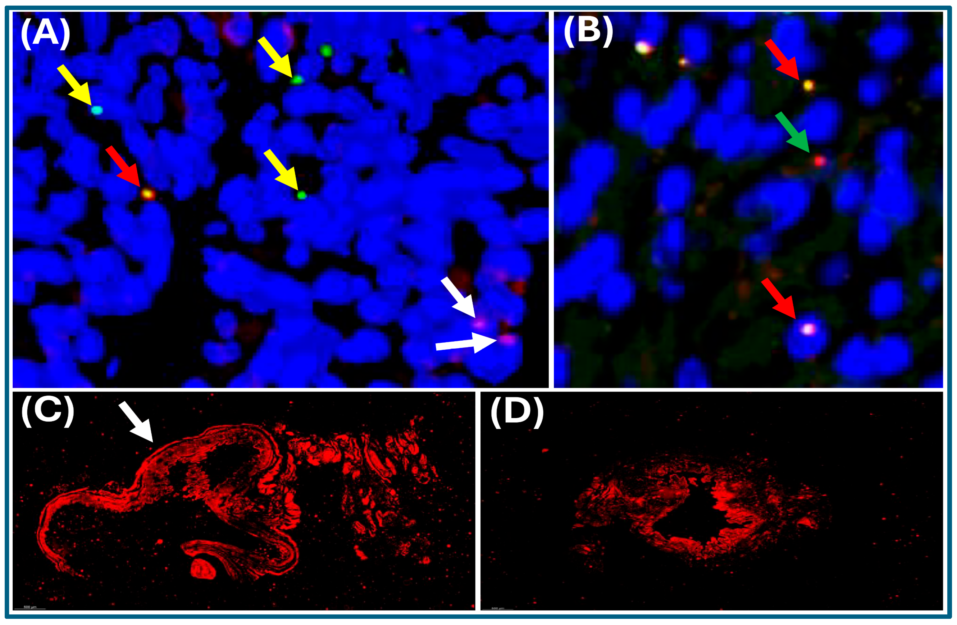 Microorganisms 14 02405 g008 Microorganisms 14 02405 g008