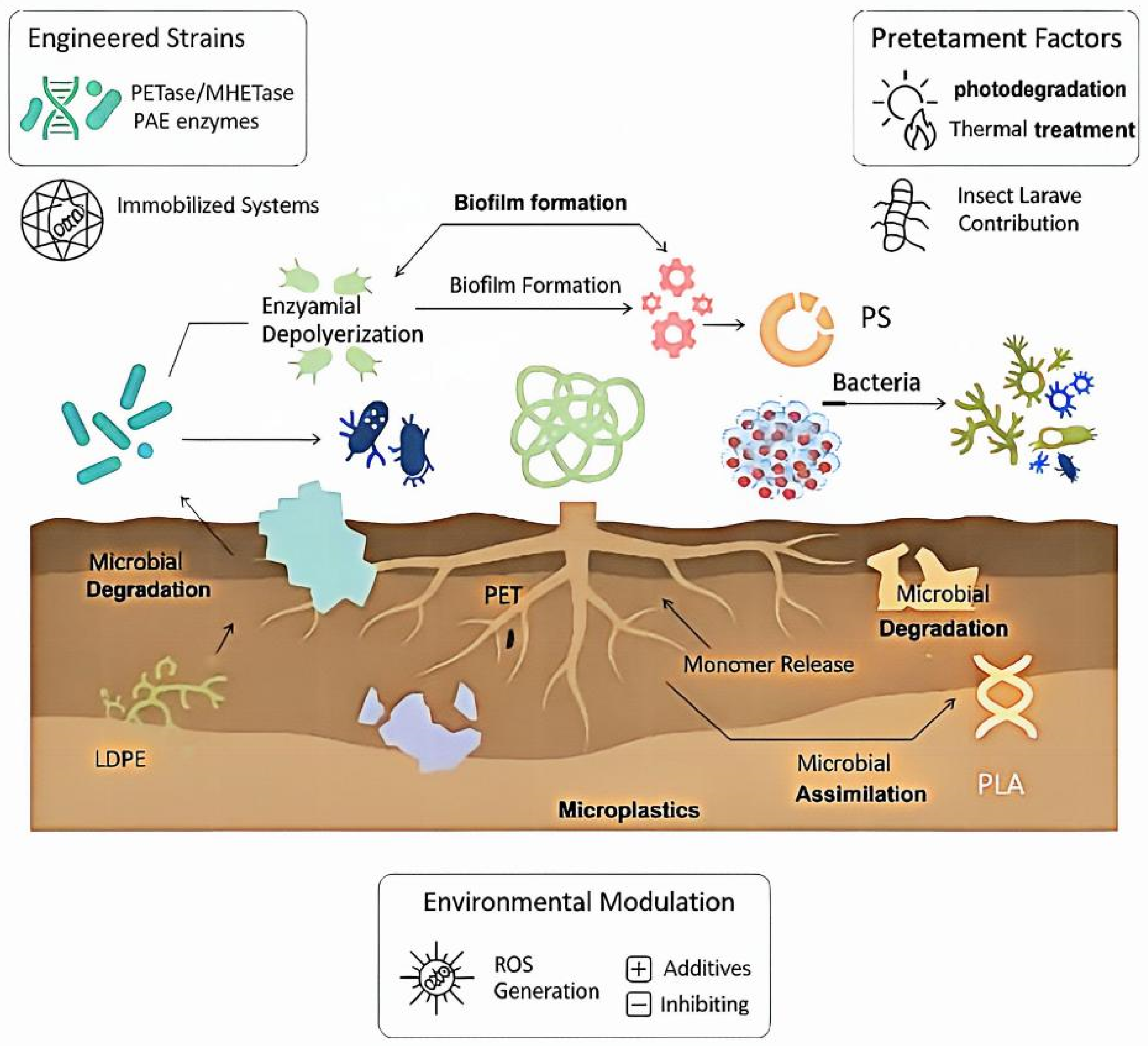 Microorganisms 14 02414 g004 Microorganisms 14 02414 g004