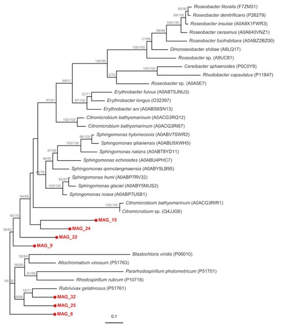 Microorganisms 14 02429 g0a3
