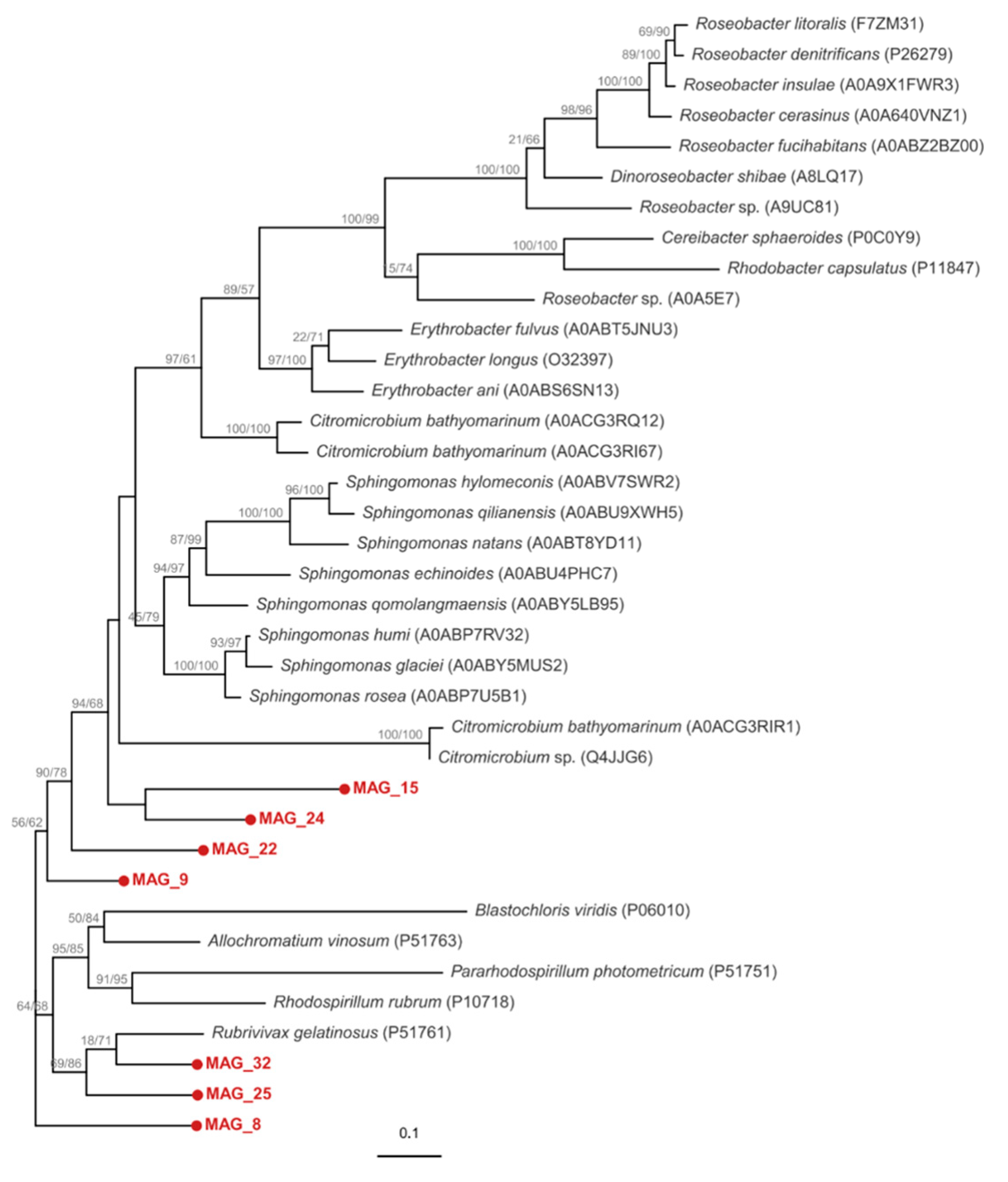 Microorganisms 14 02429 g0a3
