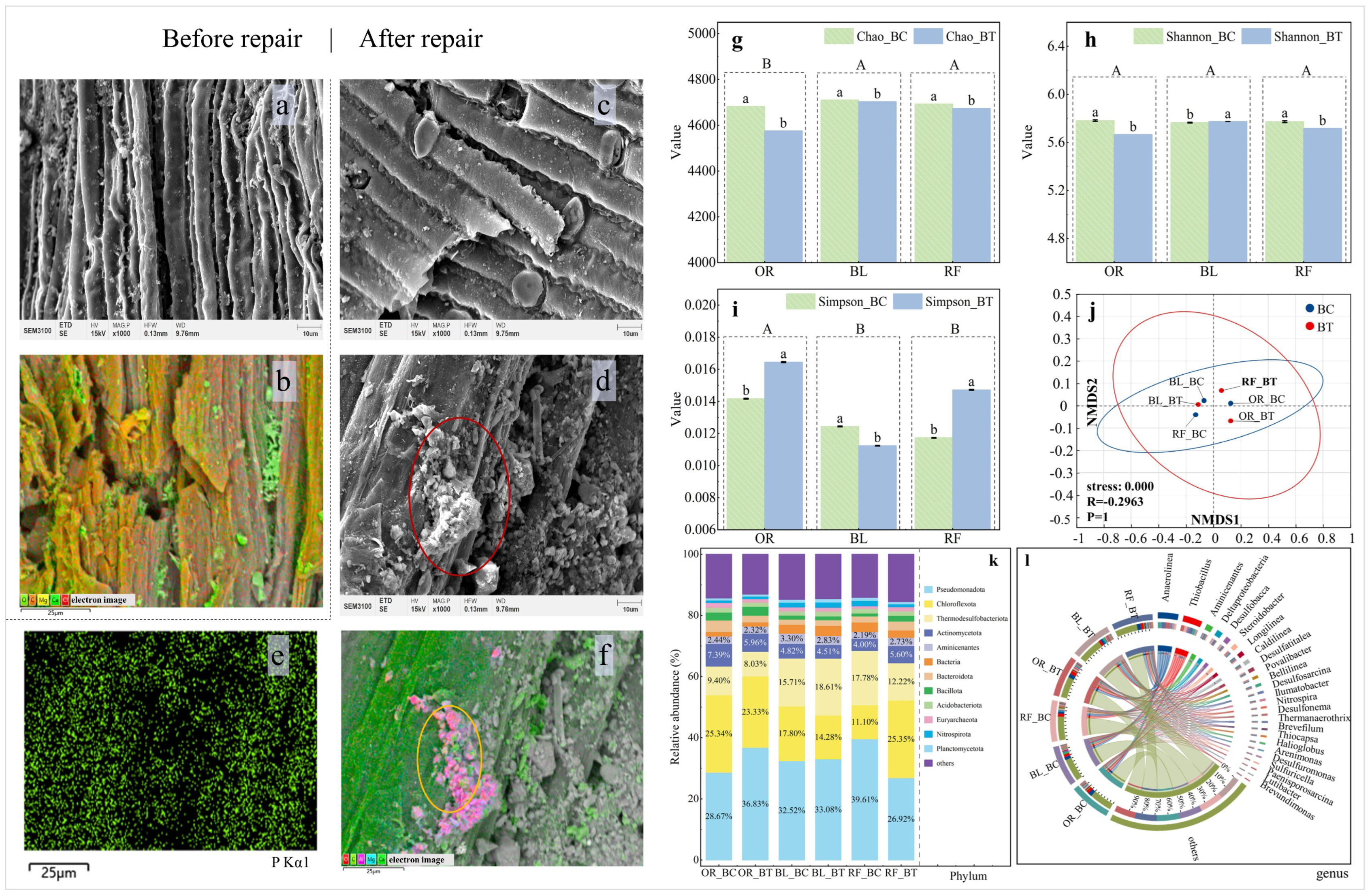 Long-Term Nitrogen and Phosphorus Control and Microbial Responses by ...