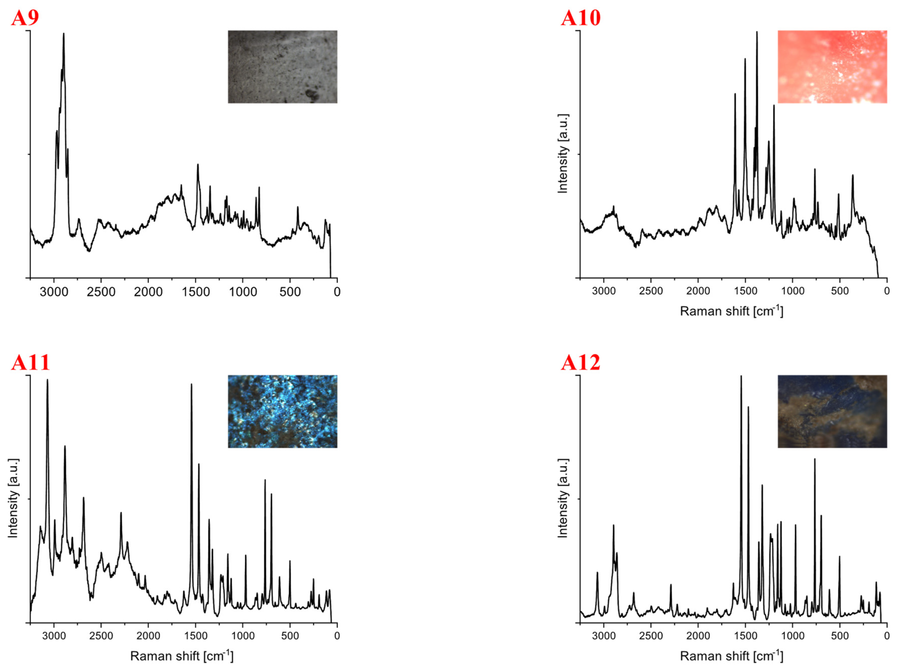 Microplastics 01 00019 g002b