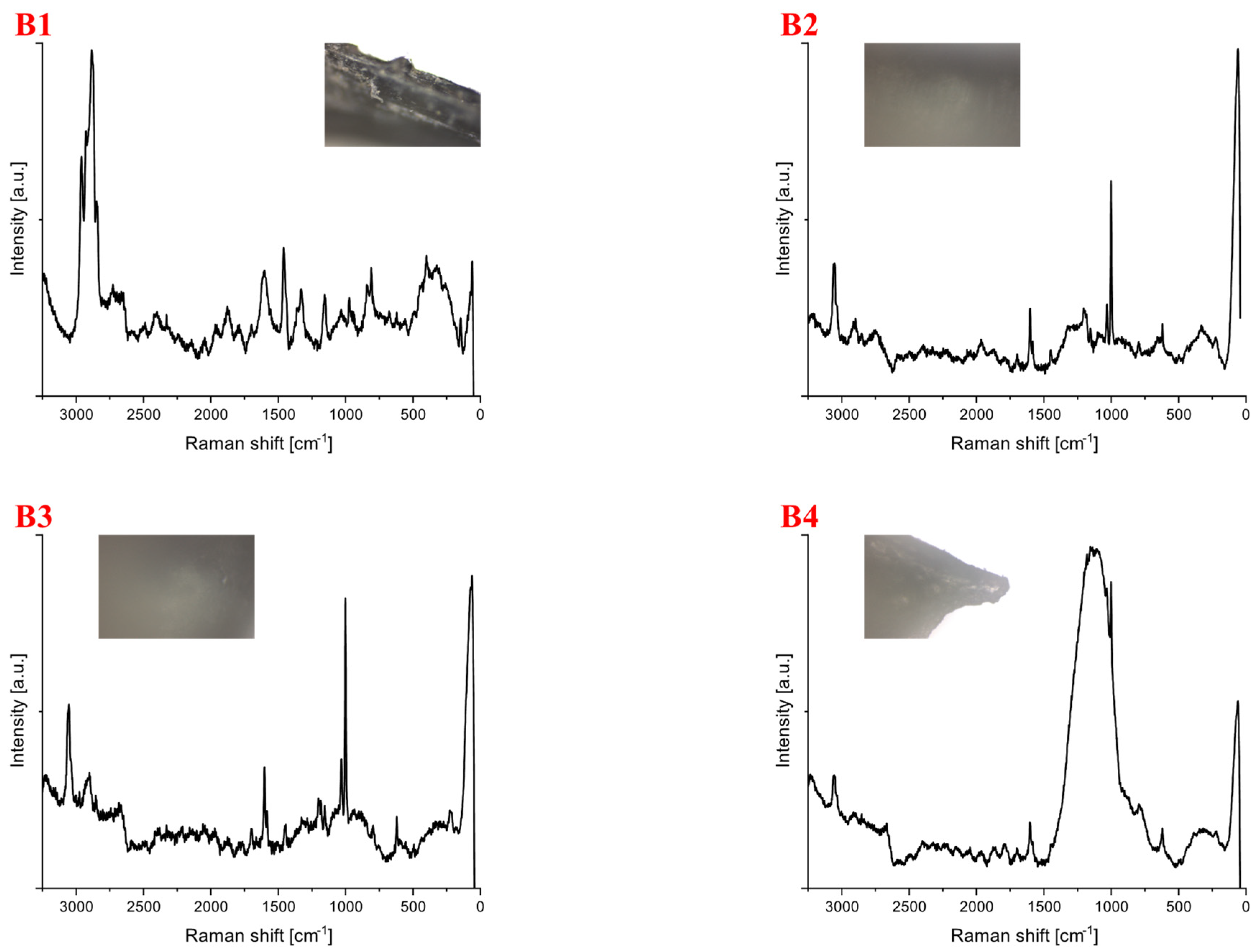 Microplastics 01 00019 g003a