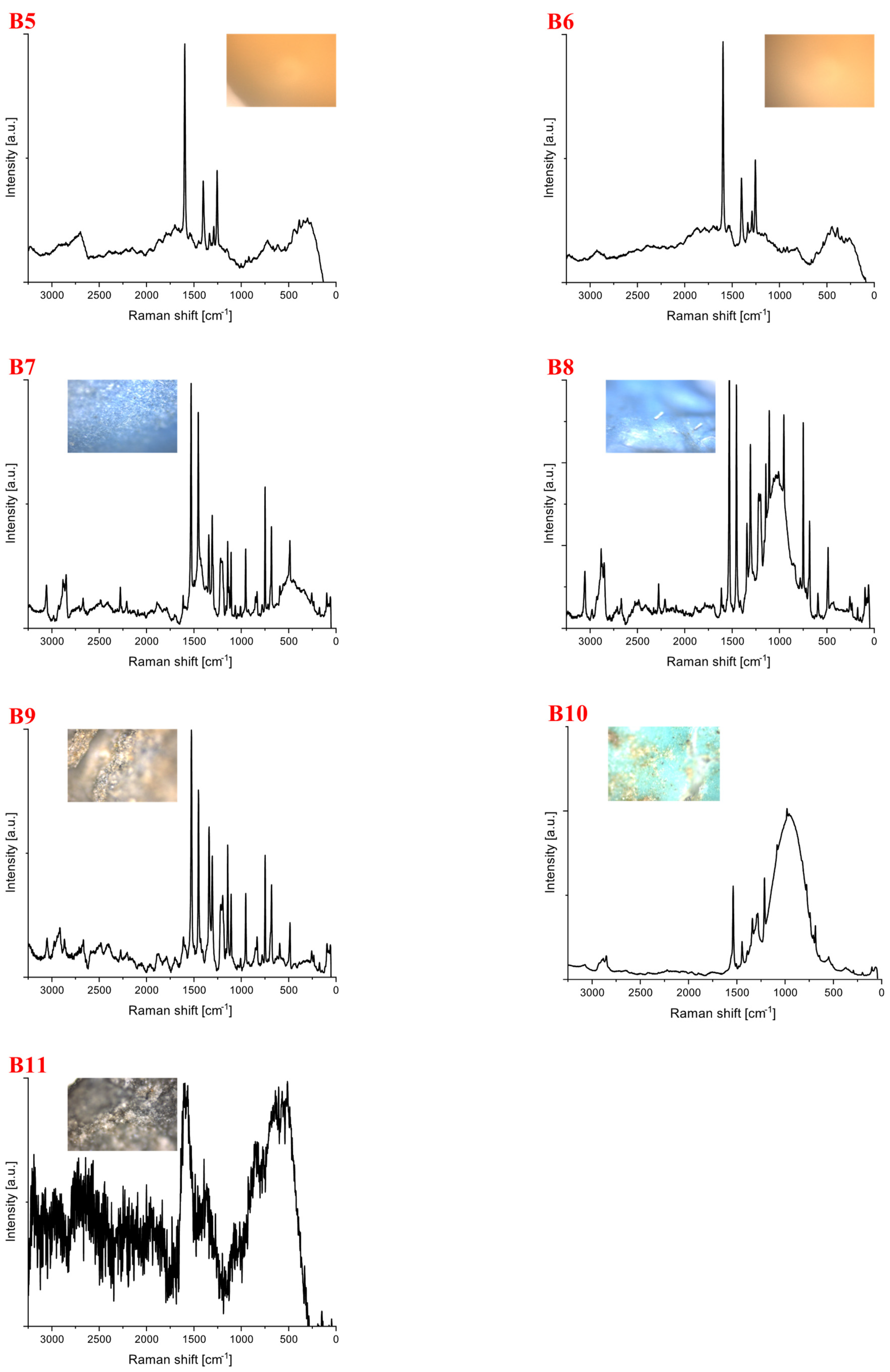 Microplastics 01 00019 g003b