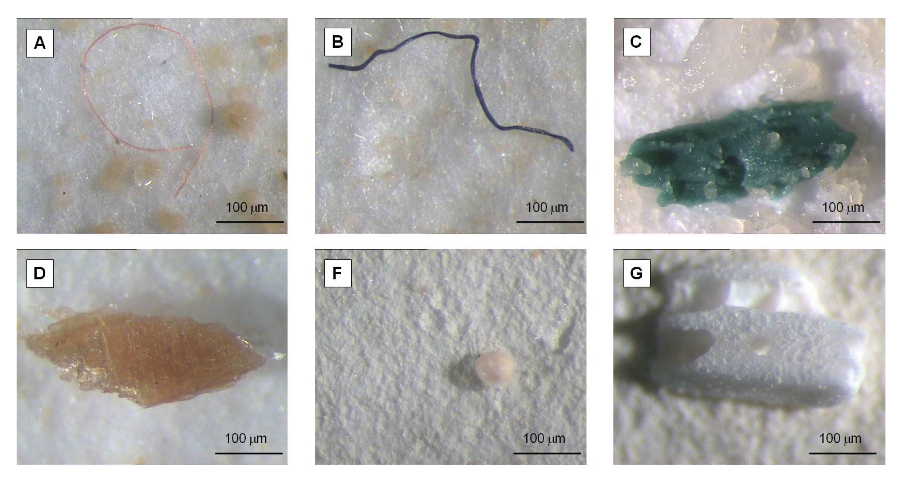Microplastics 01 00022 g002 Microplastics 01 00022 g002