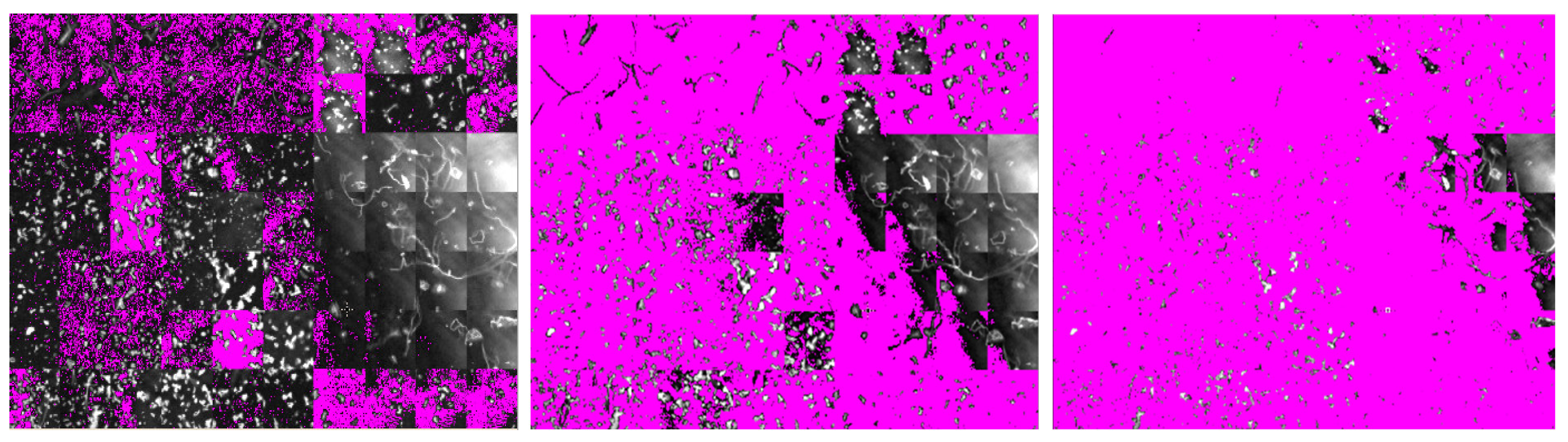 Microplastics 01 00027 g004