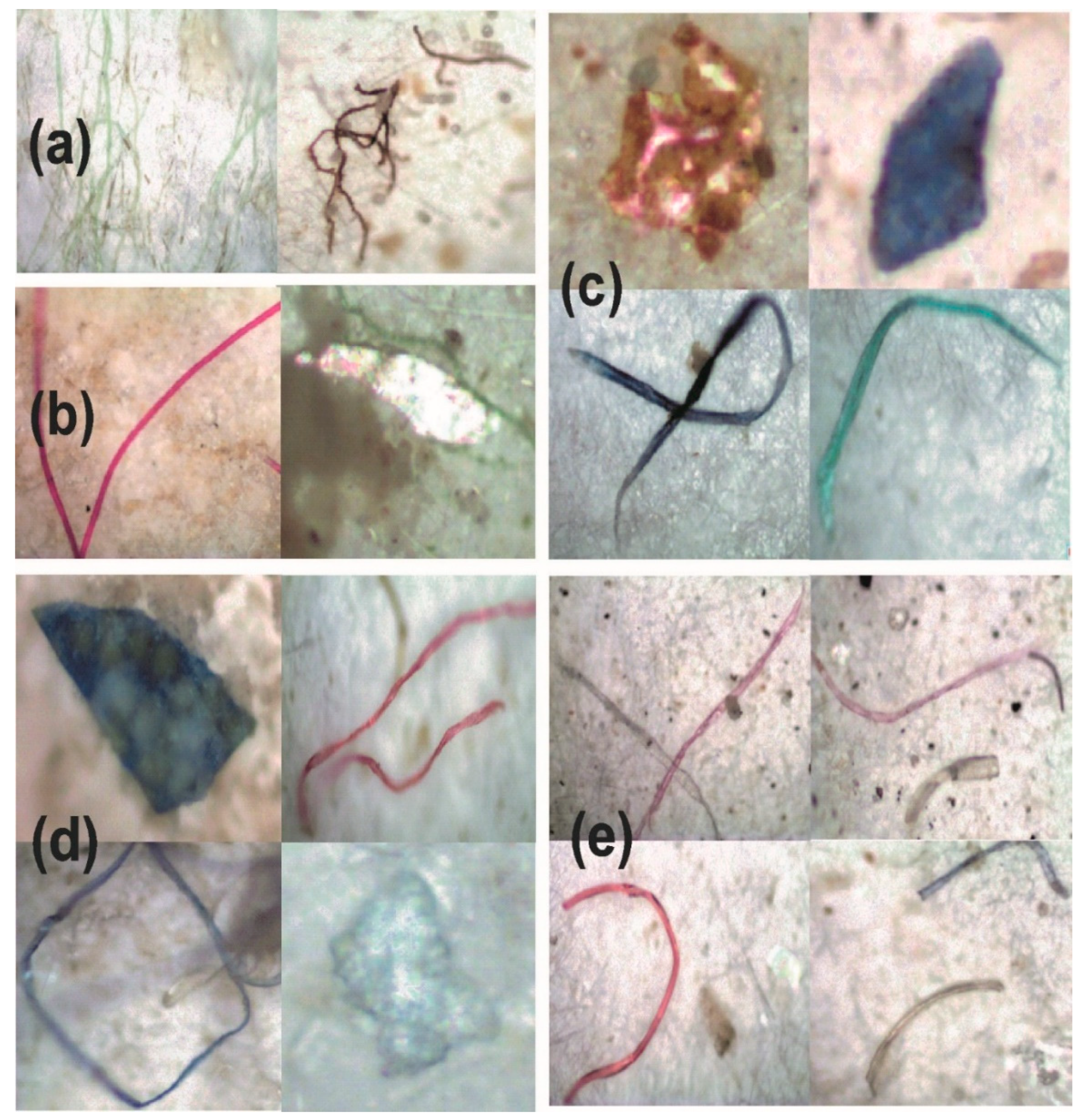 Microplastics 01 00038 g002 Microplastics 01 00038 g002