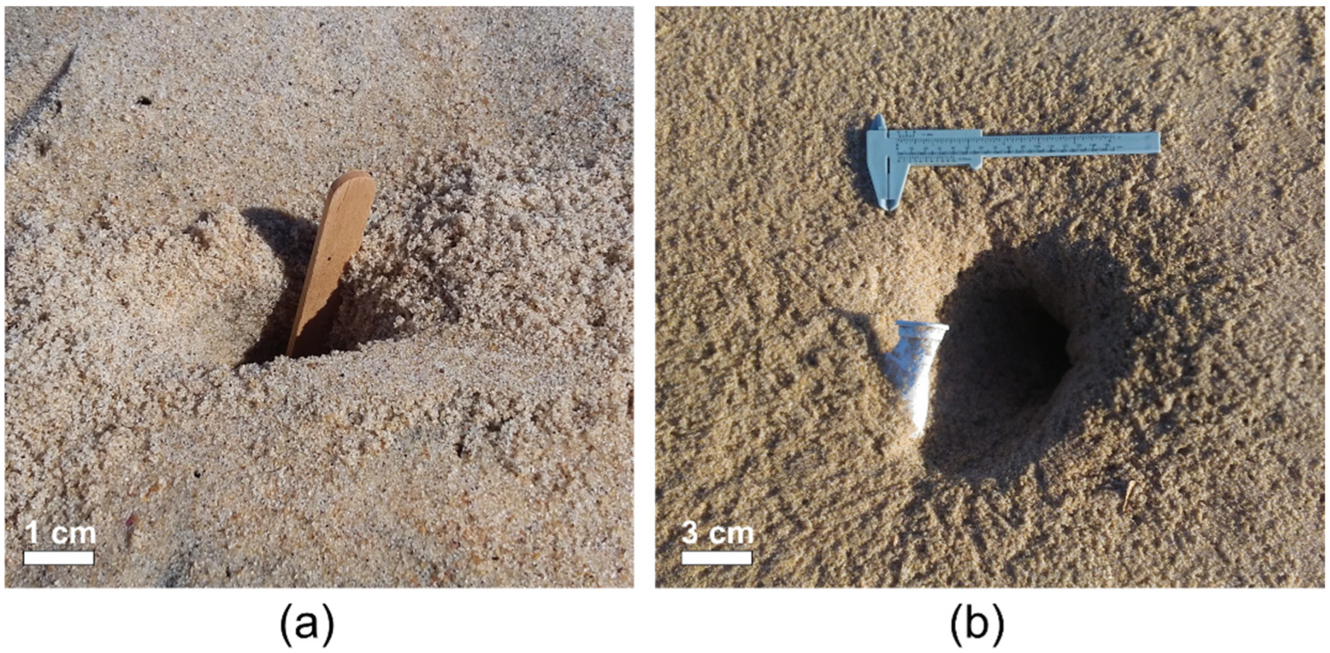 Microplastics 01 00039 g001 Microplastics 01 00039 g001
