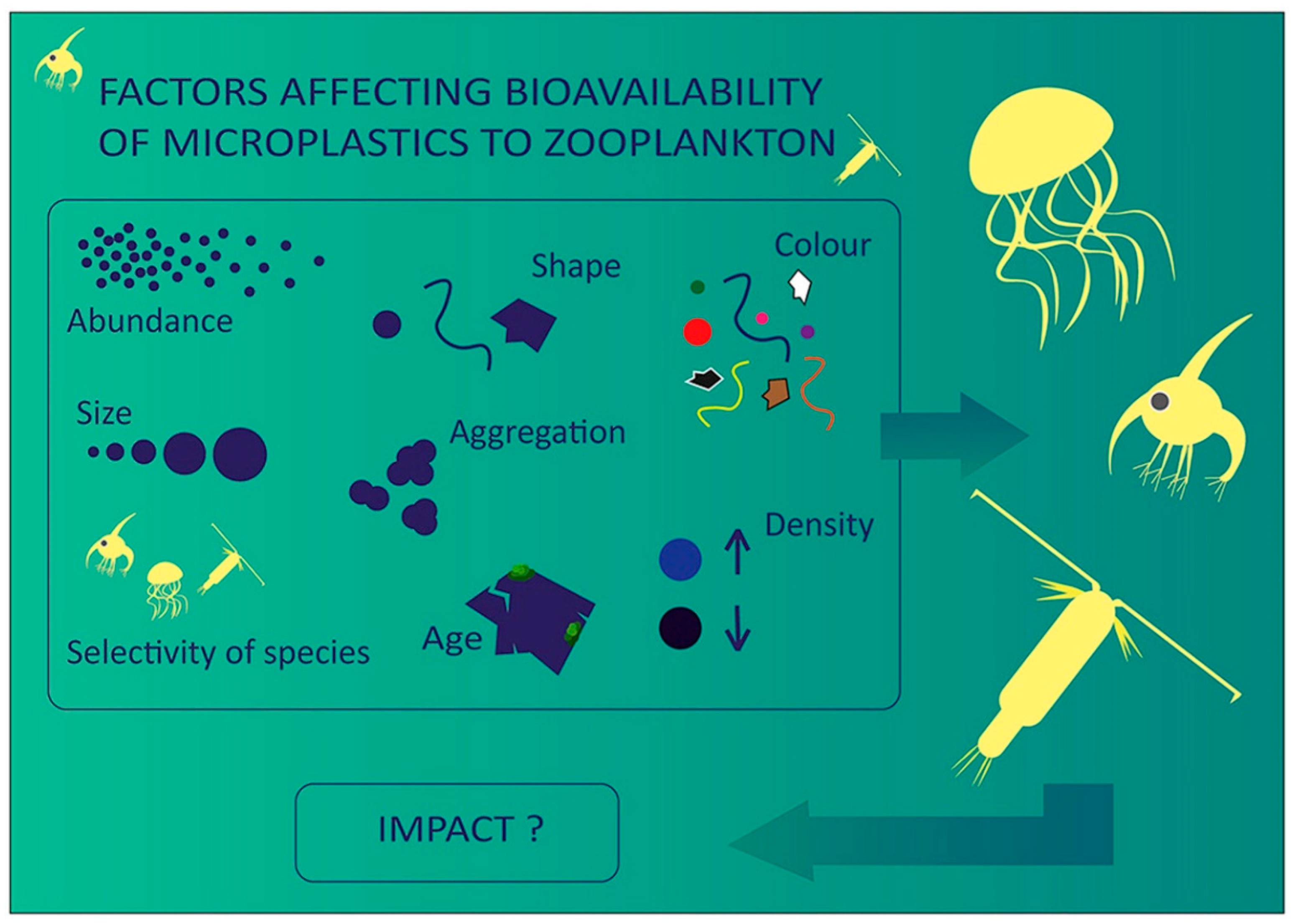 Microplastics 01 00043 g001