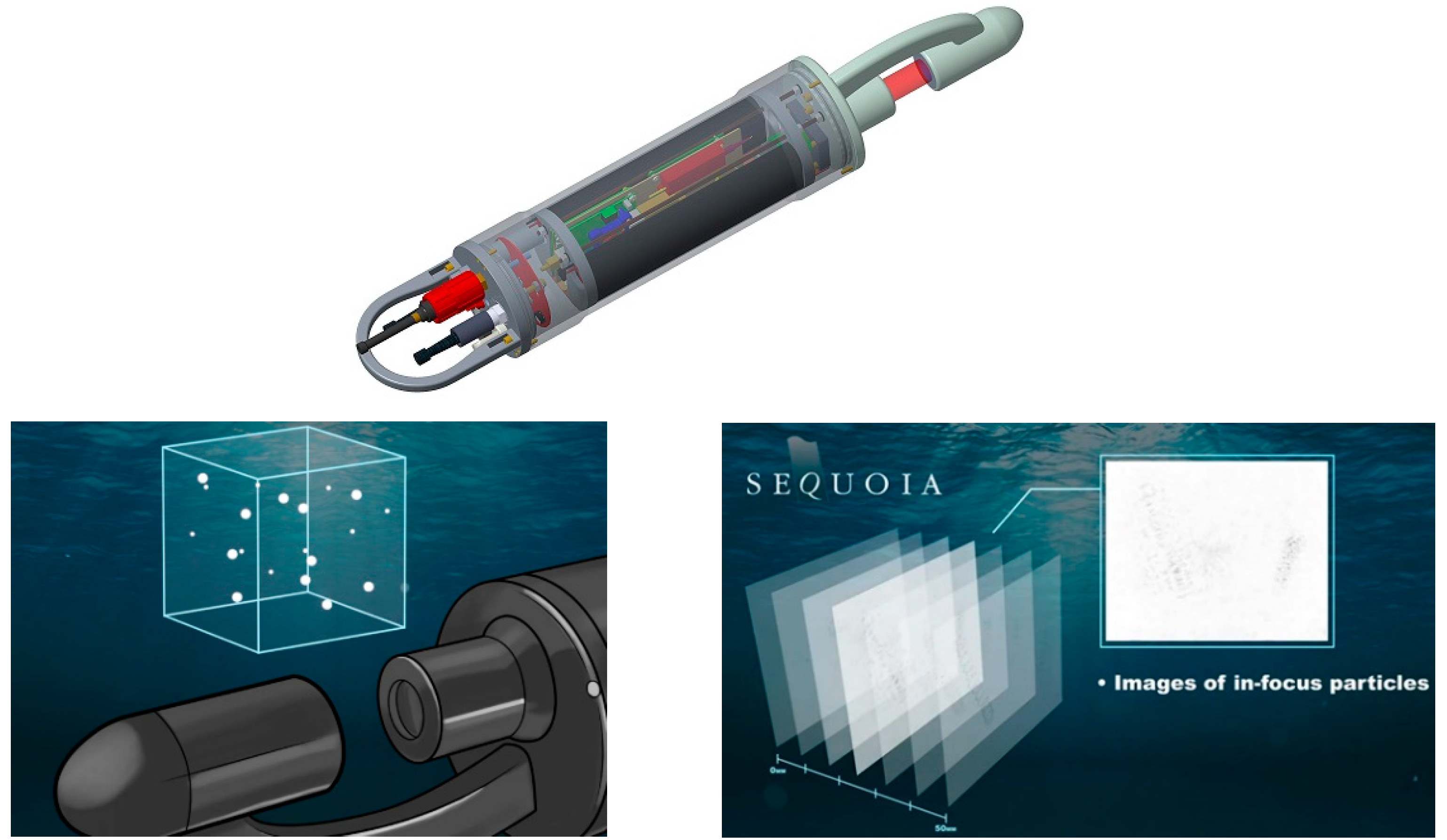 Microplastics 01 00044 g004