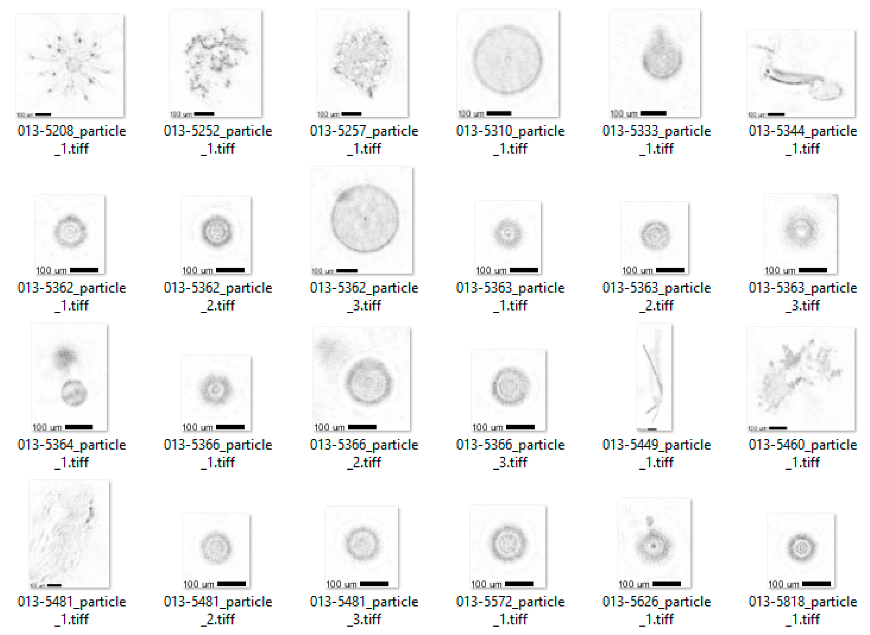 Microplastics 01 00044 g010
