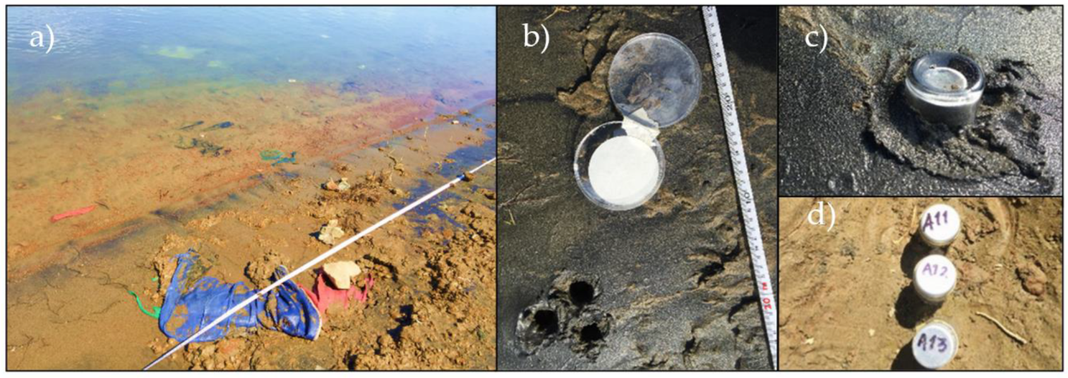 Microplastics 01 00045 g002