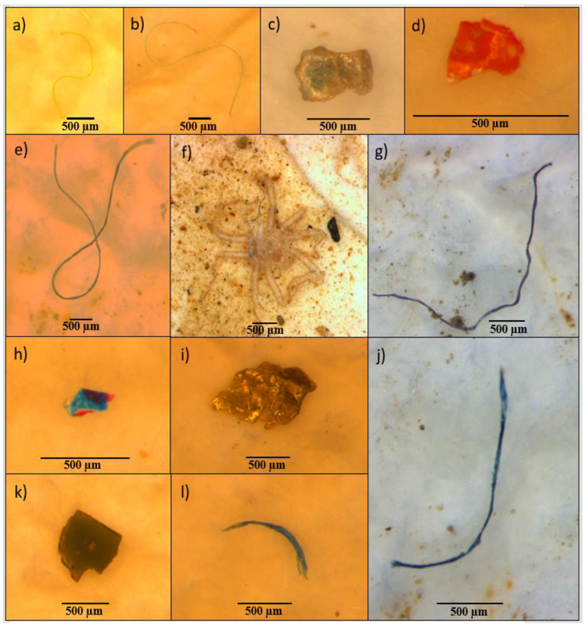 Microplastics 01 00045 g006