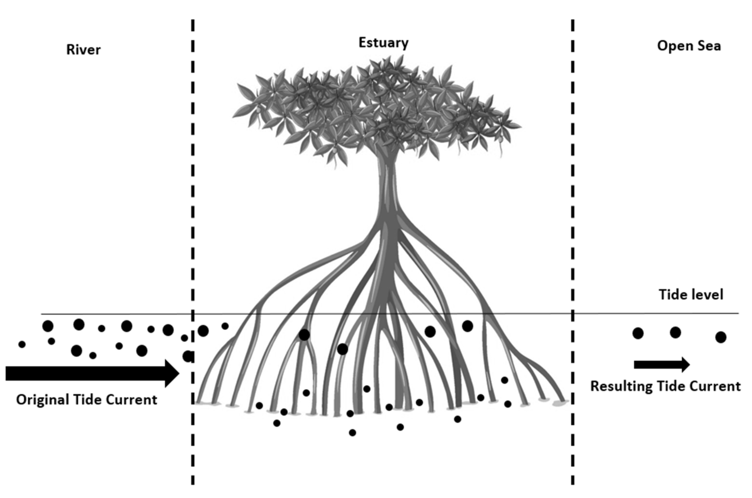 Microplastics 02 00005 g006