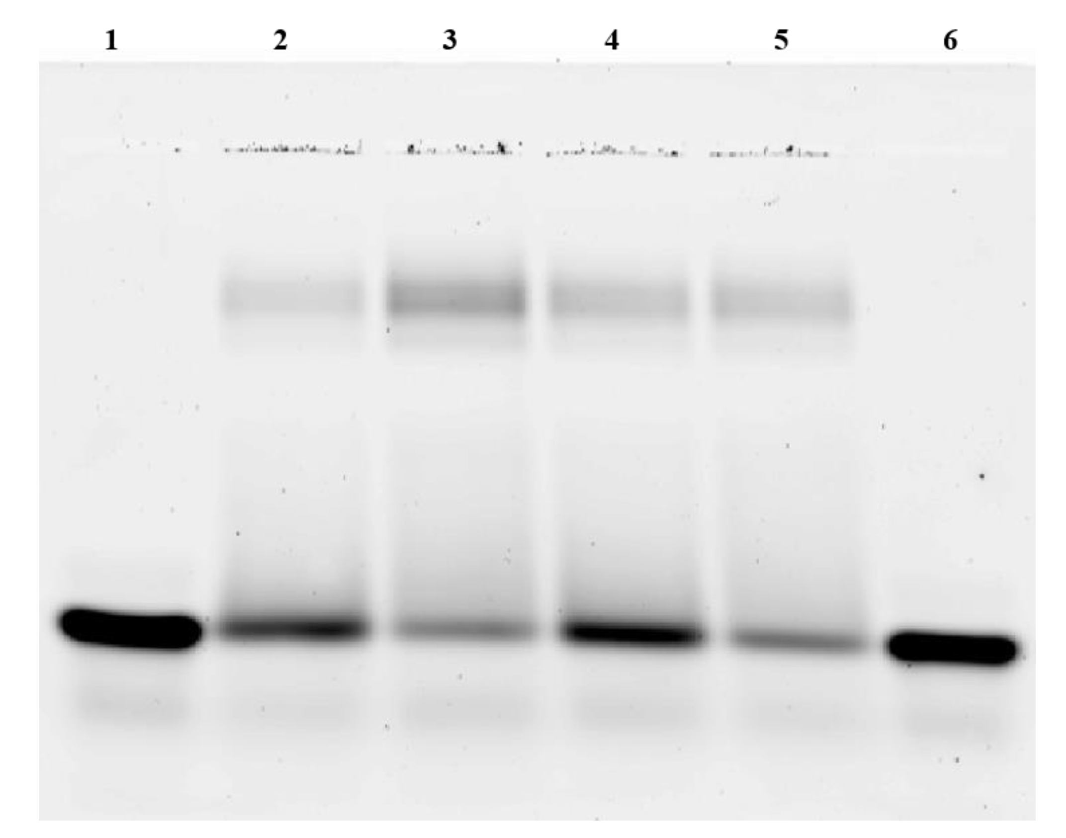 Microplastics 02 00009 g001