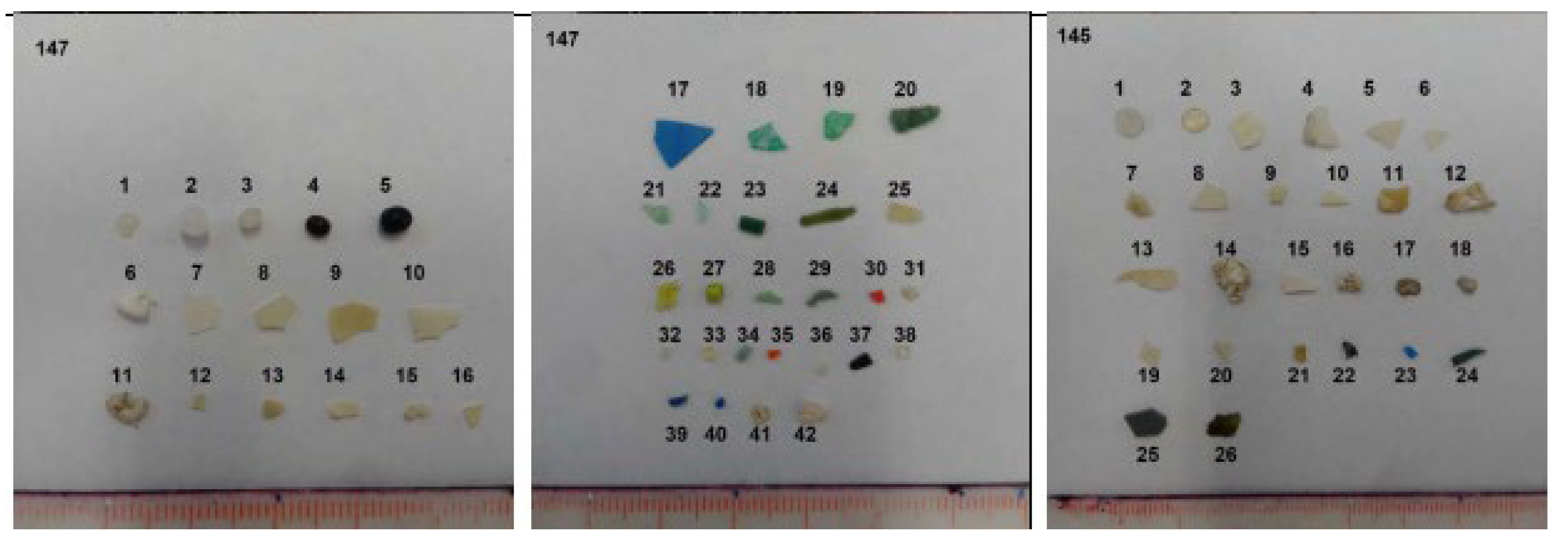 Microplastics 02 00011 g003 Microplastics 02 00011 g003