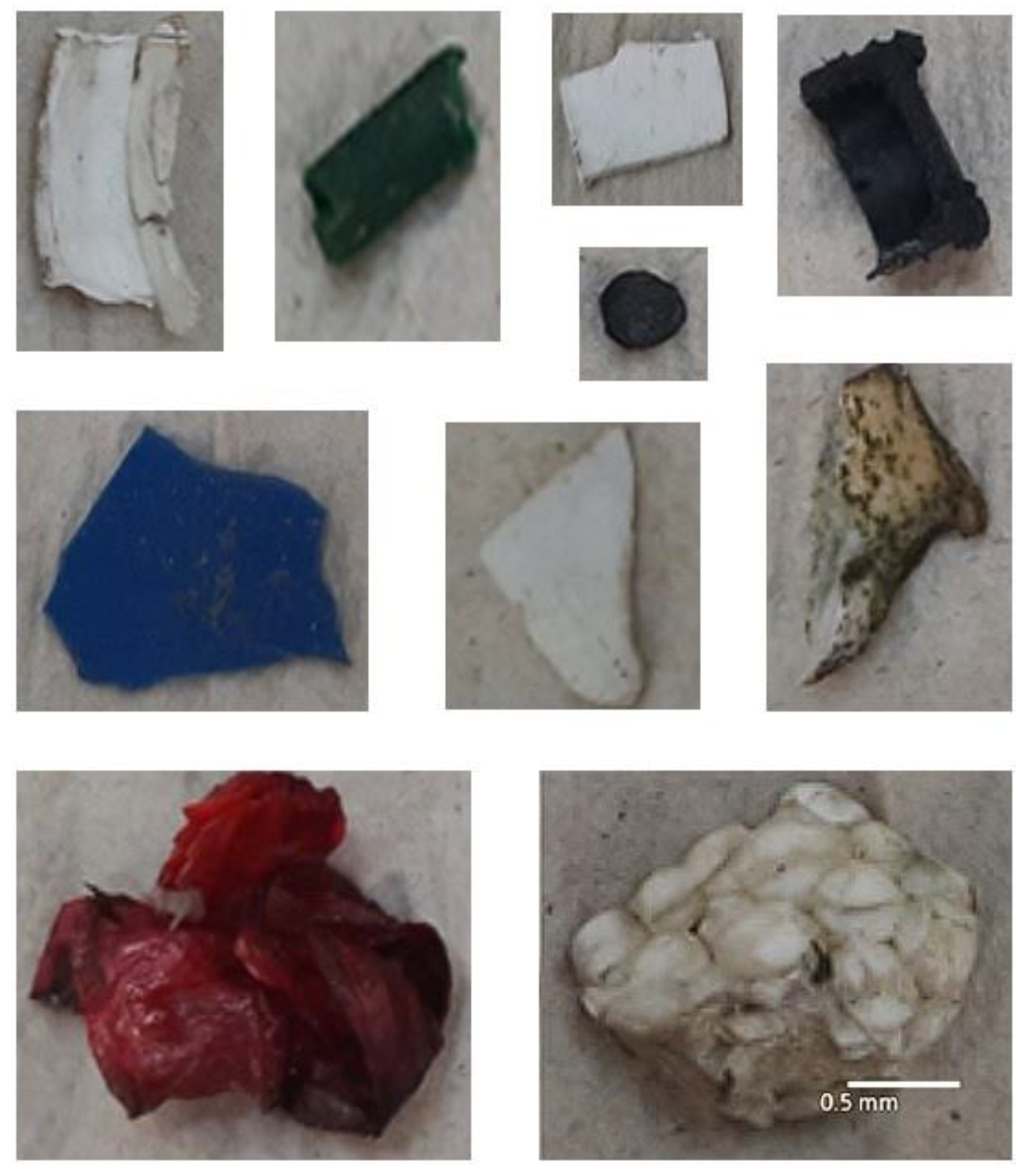 Microplastics 02 00021 g002
