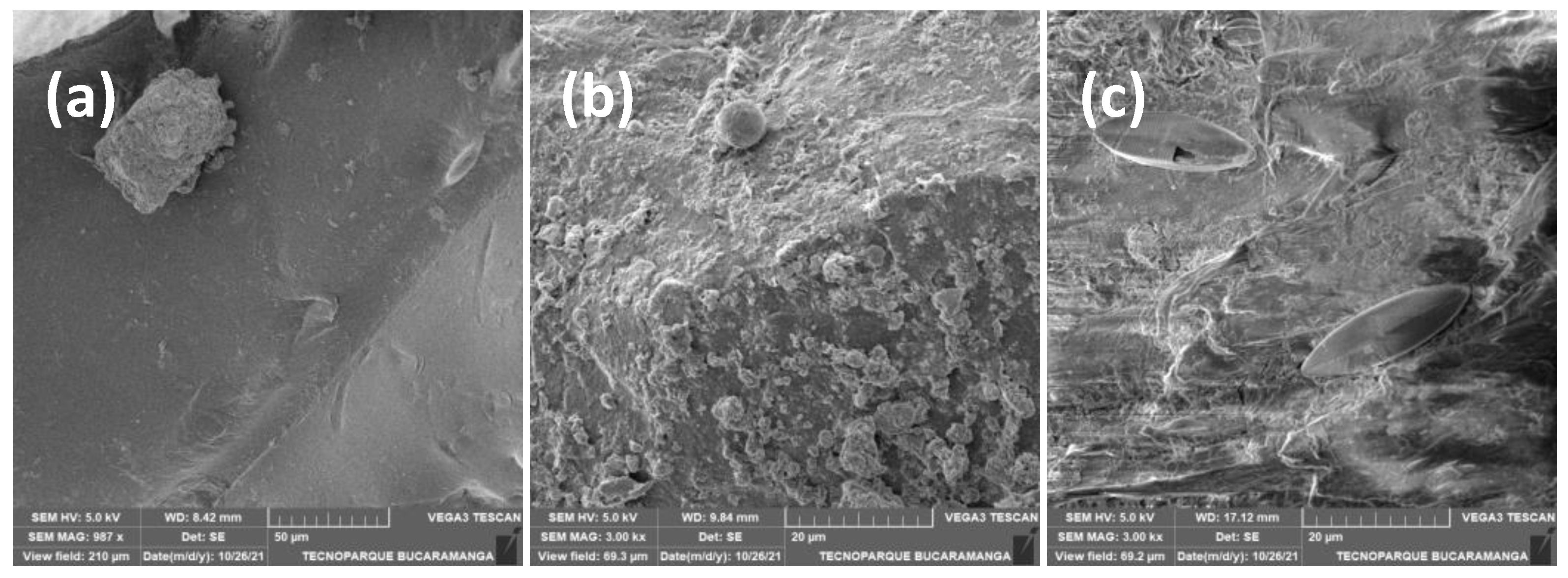 Microplastics 02 00021 g008