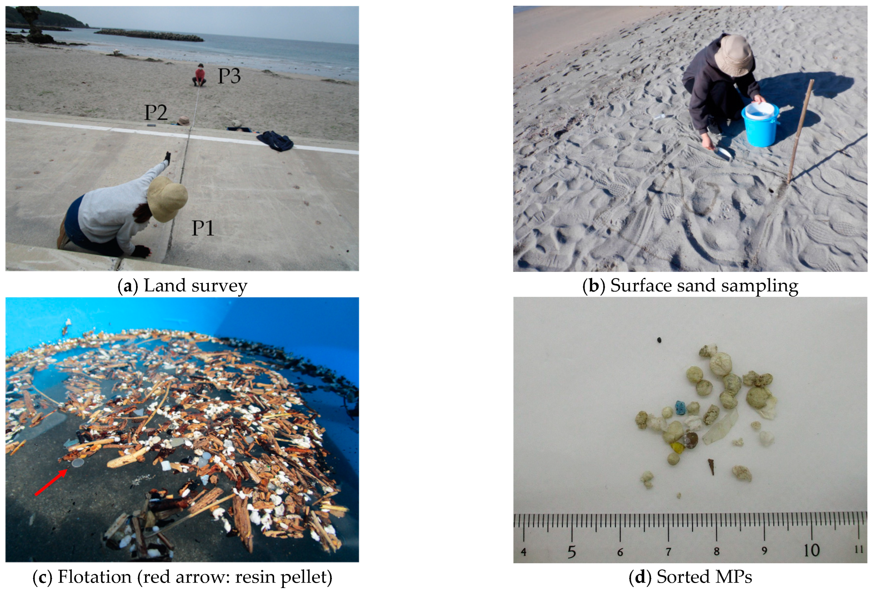 Microplastics 02 00024 g003 Microplastics 02 00024 g003