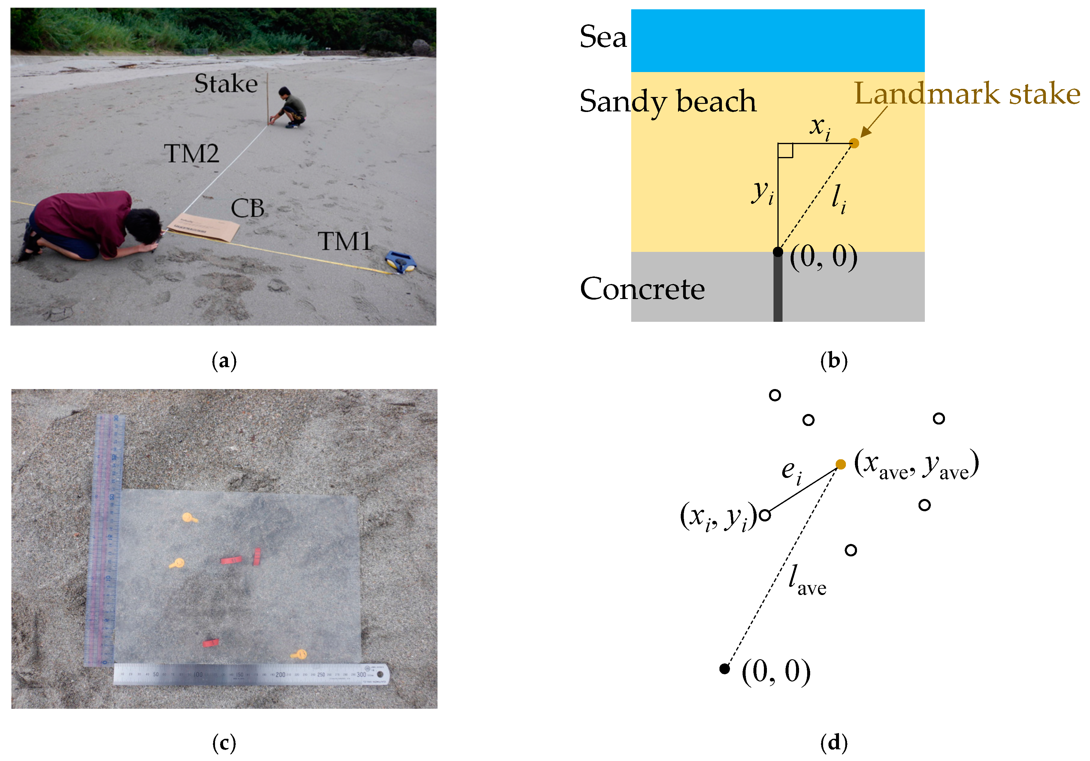 Microplastics 02 00024 g004 Microplastics 02 00024 g004