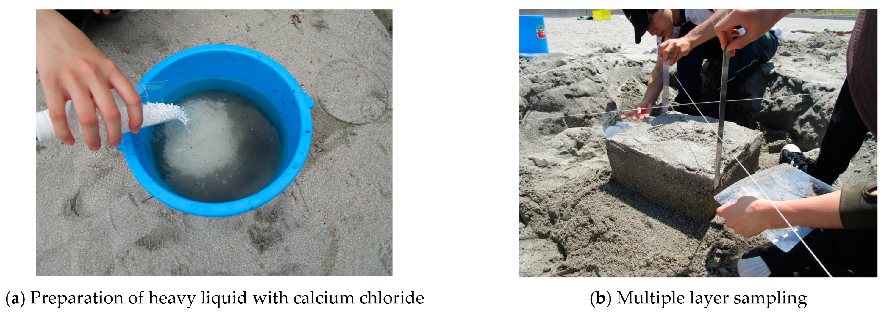 Microplastics 02 00024 g005a Microplastics 02 00024 g005a
