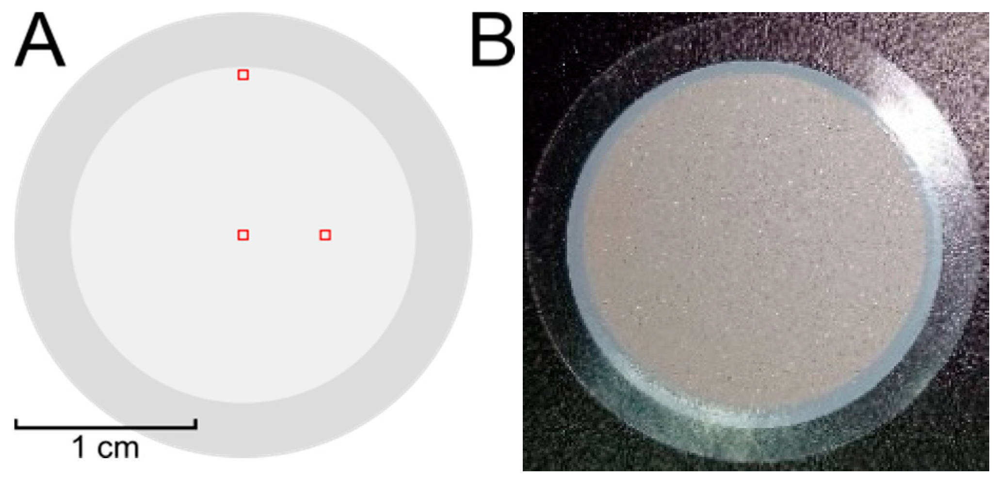 Microplastics 02 00025 g003