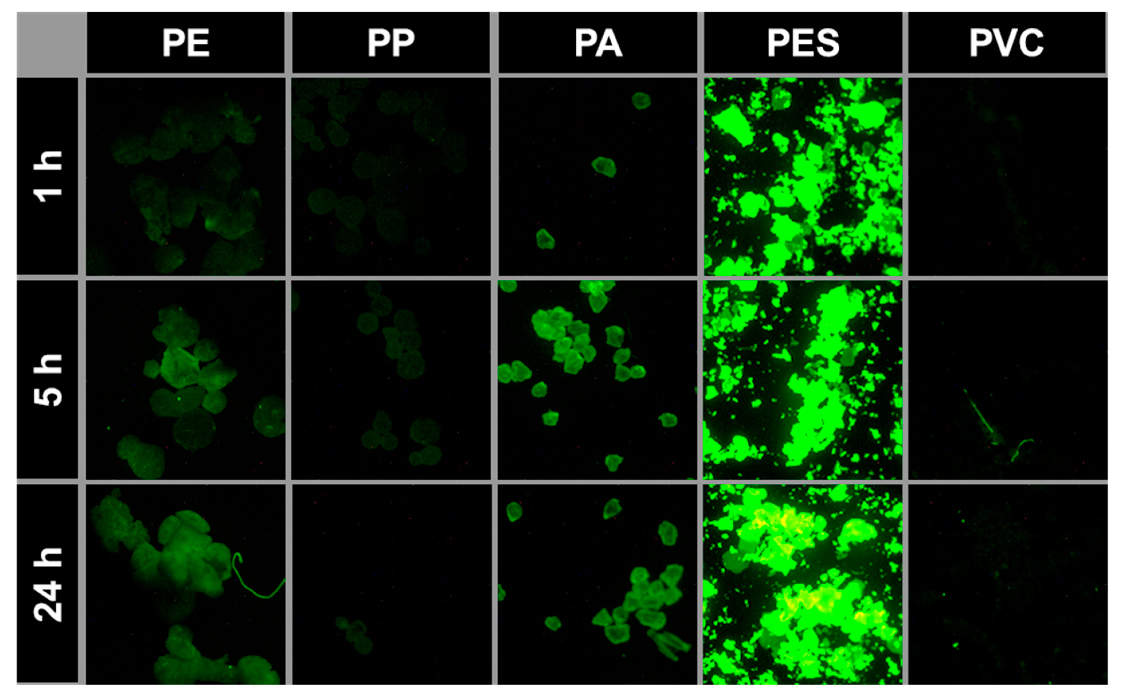 Microplastics 02 00026 g002