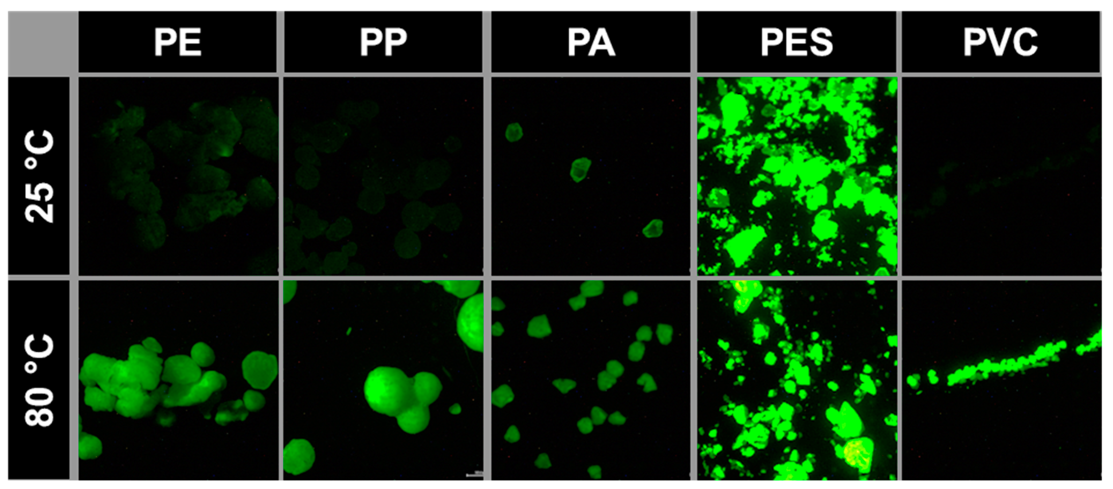 Microplastics 02 00026 g003