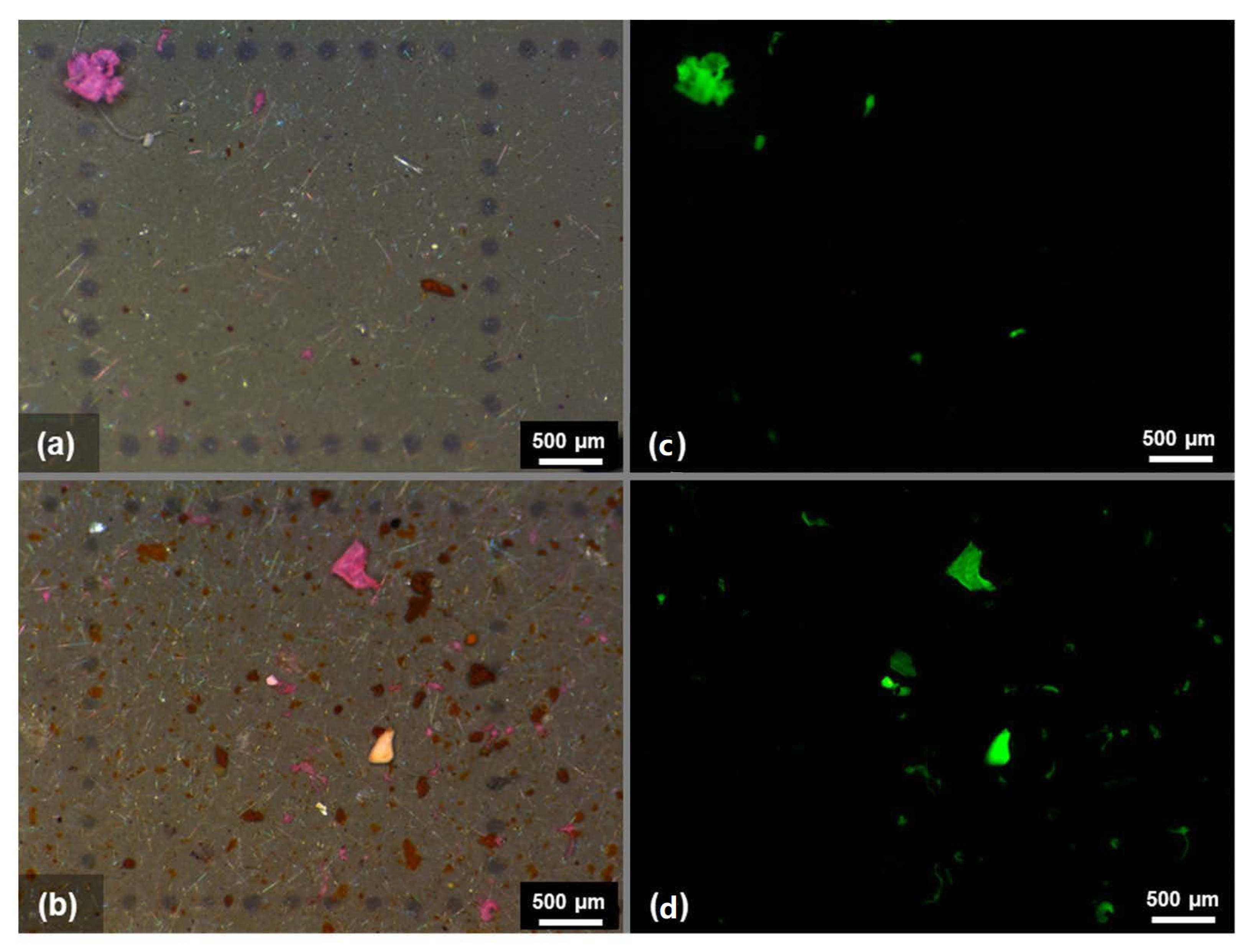 Microplastics 02 00026 g009