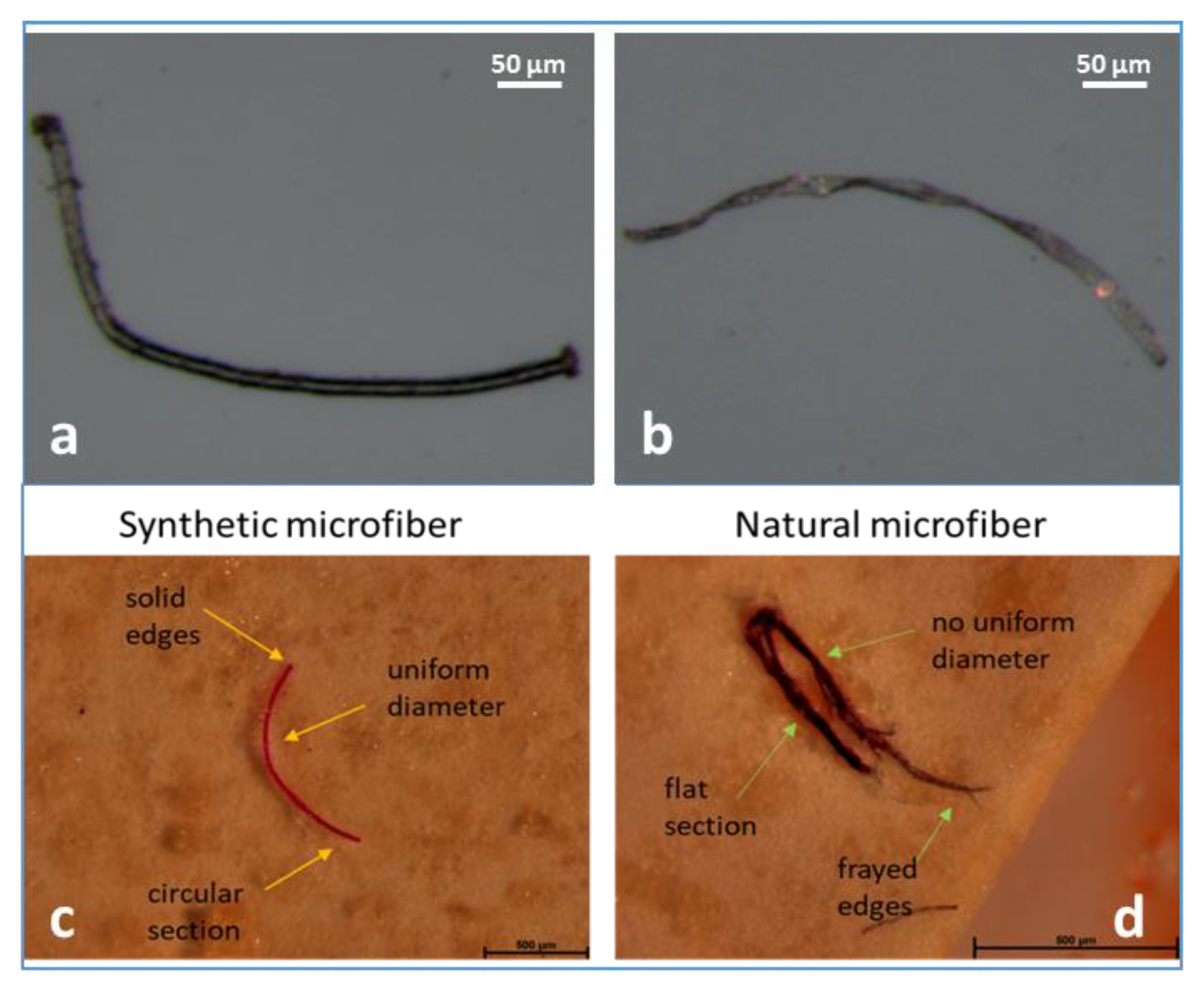 Microplastics 02 00030 g001