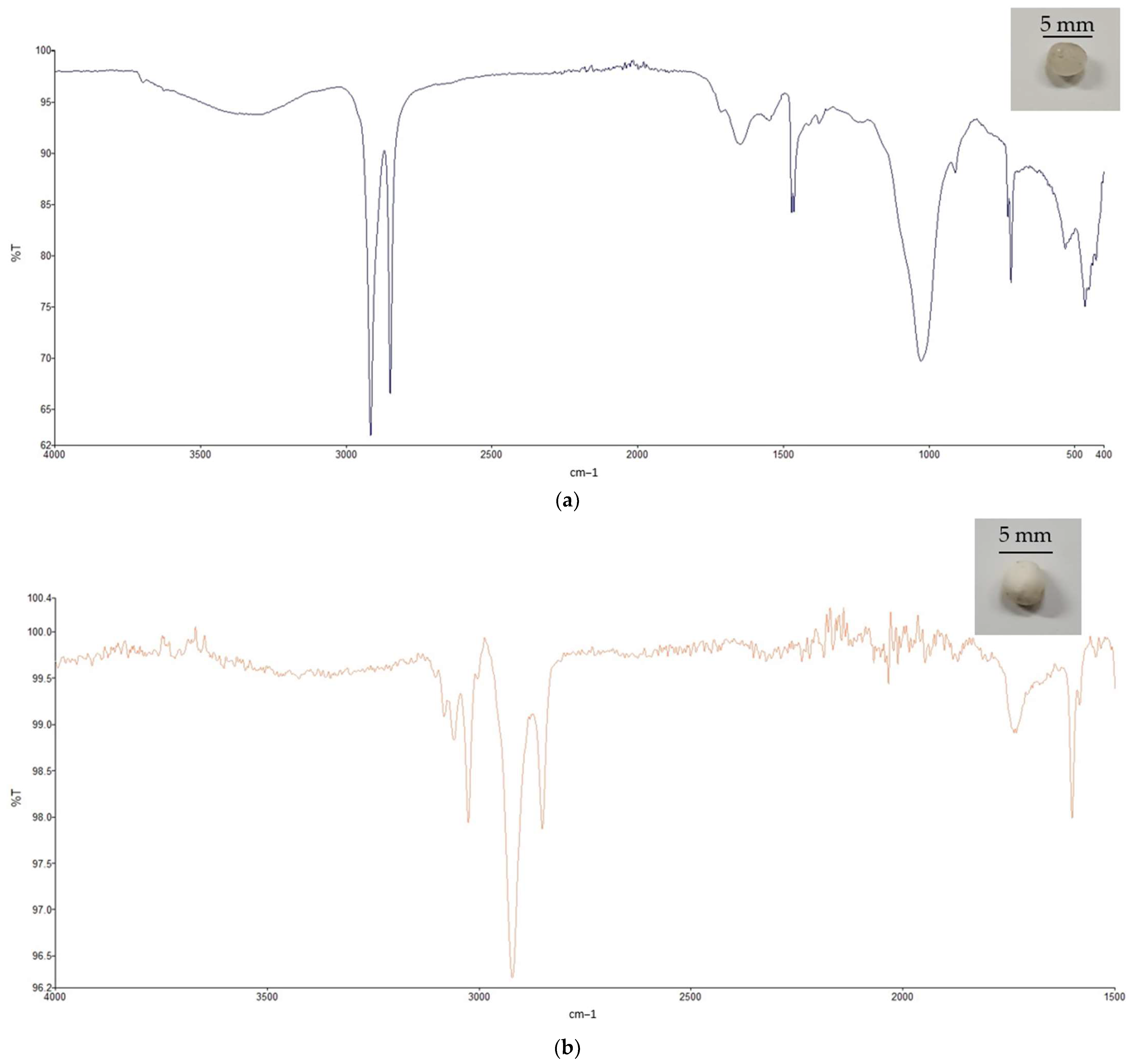 Microplastics 02 00031 g005