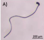 Microplastics 03 00007 i001