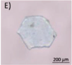 Microplastics 03 00007 i005