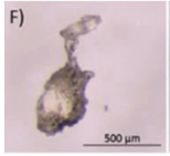 Microplastics 03 00007 i006