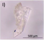 Microplastics 03 00007 i009