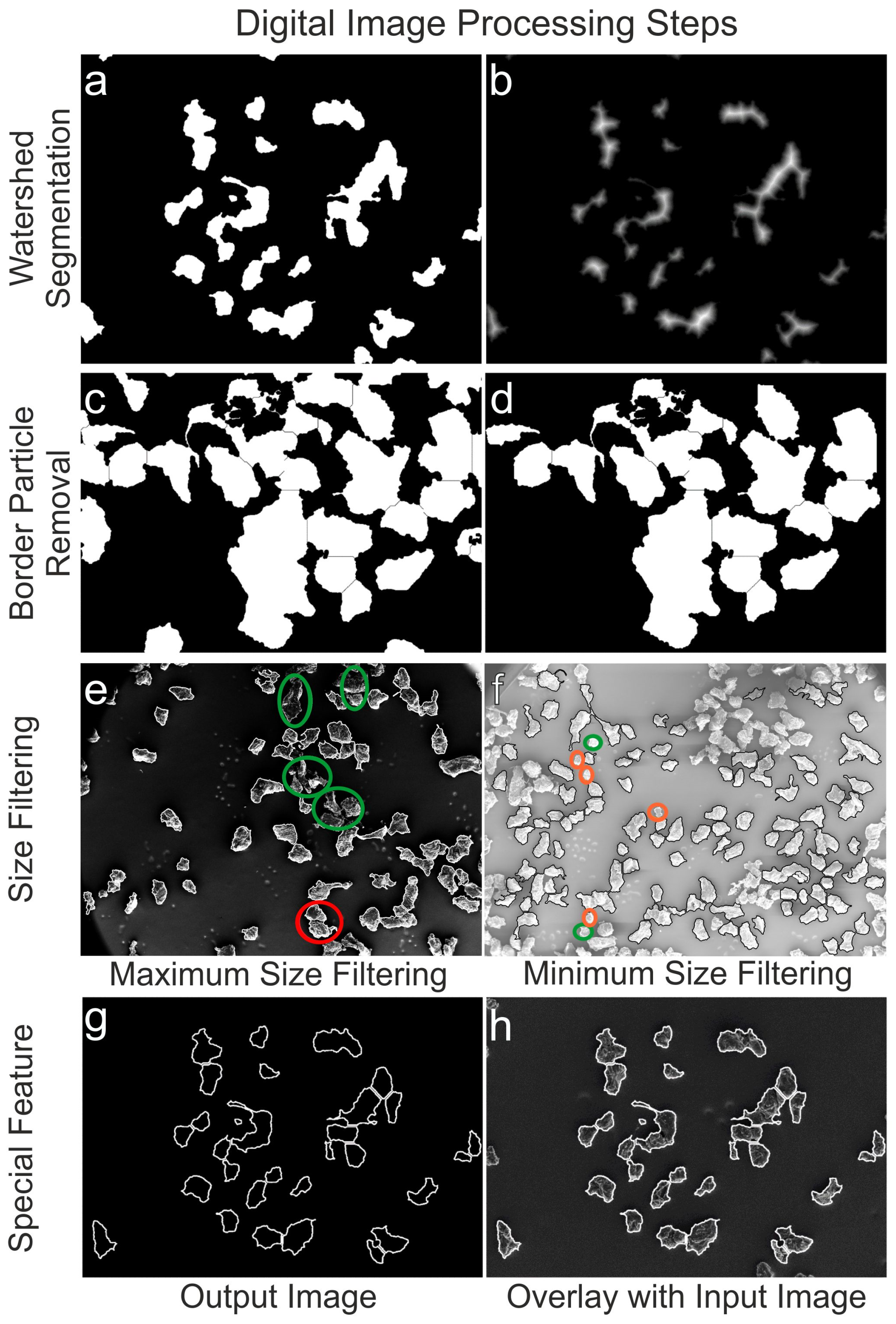 Microplastics 03 00008 g003 Microplastics 03 00008 g003