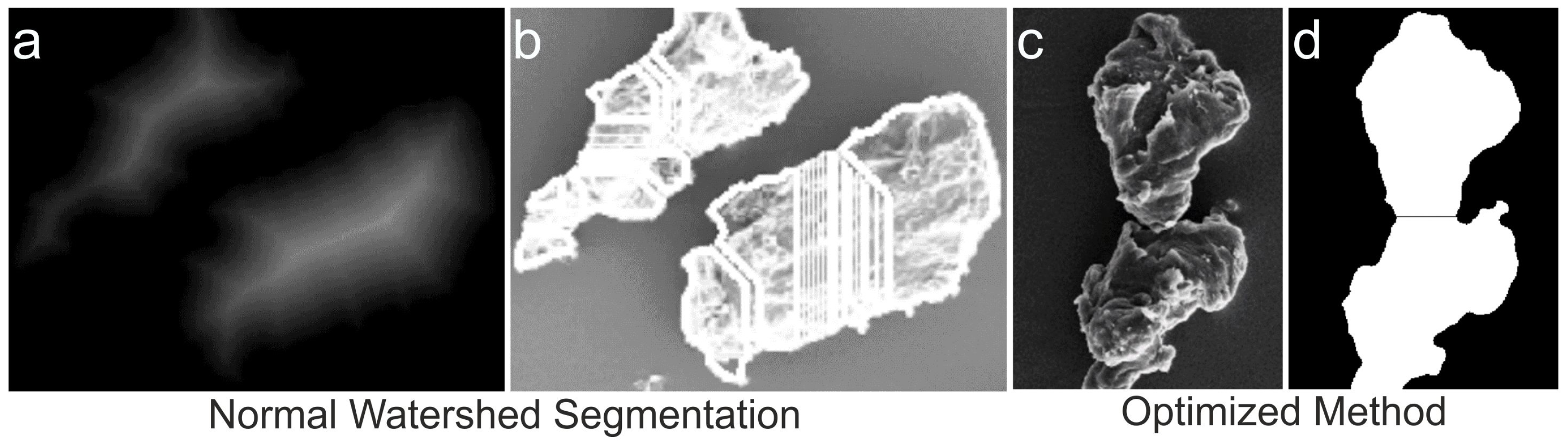 Microplastics 03 00008 g004 Microplastics 03 00008 g004