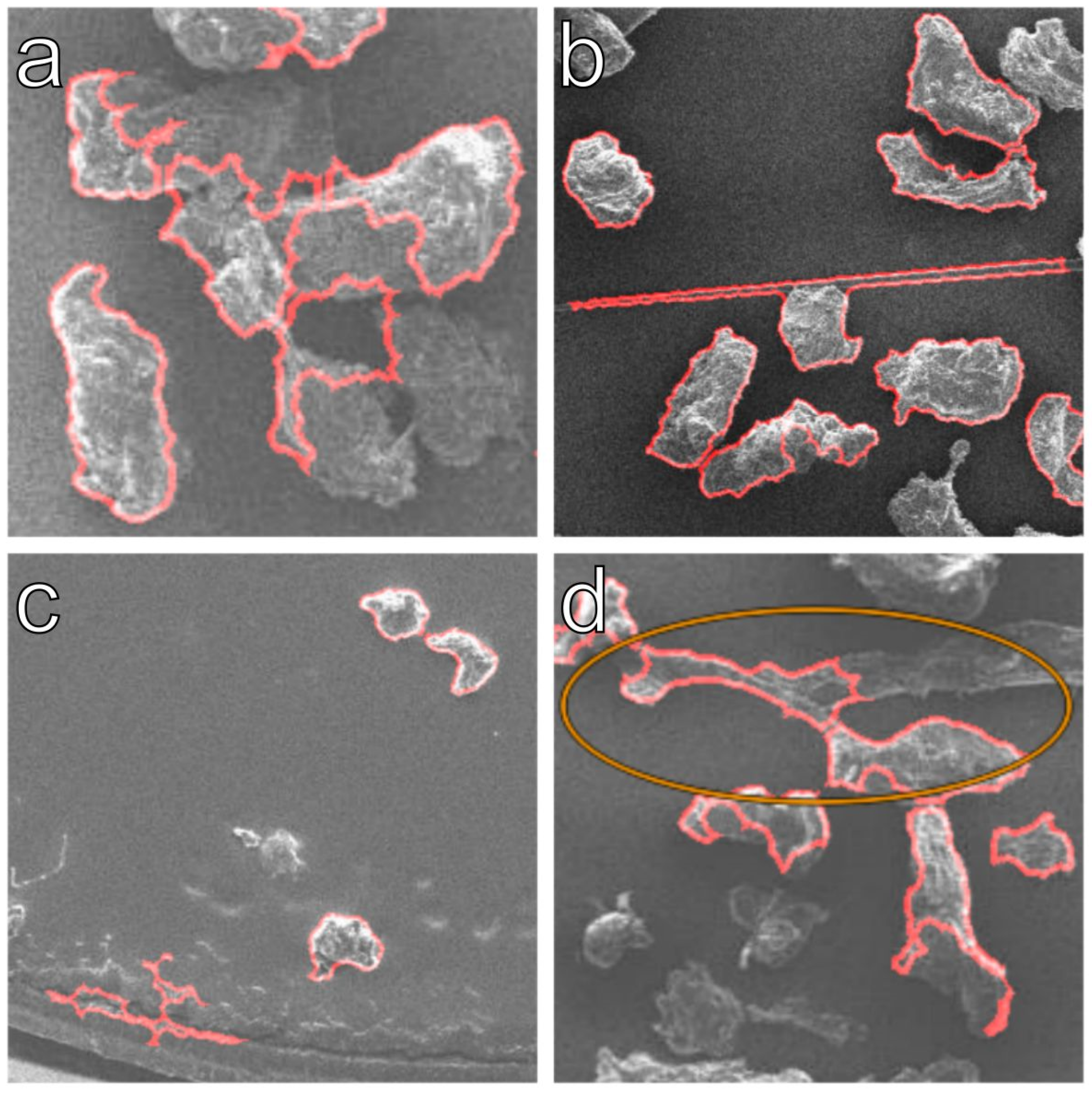 Microplastics 03 00008 g011 Microplastics 03 00008 g011