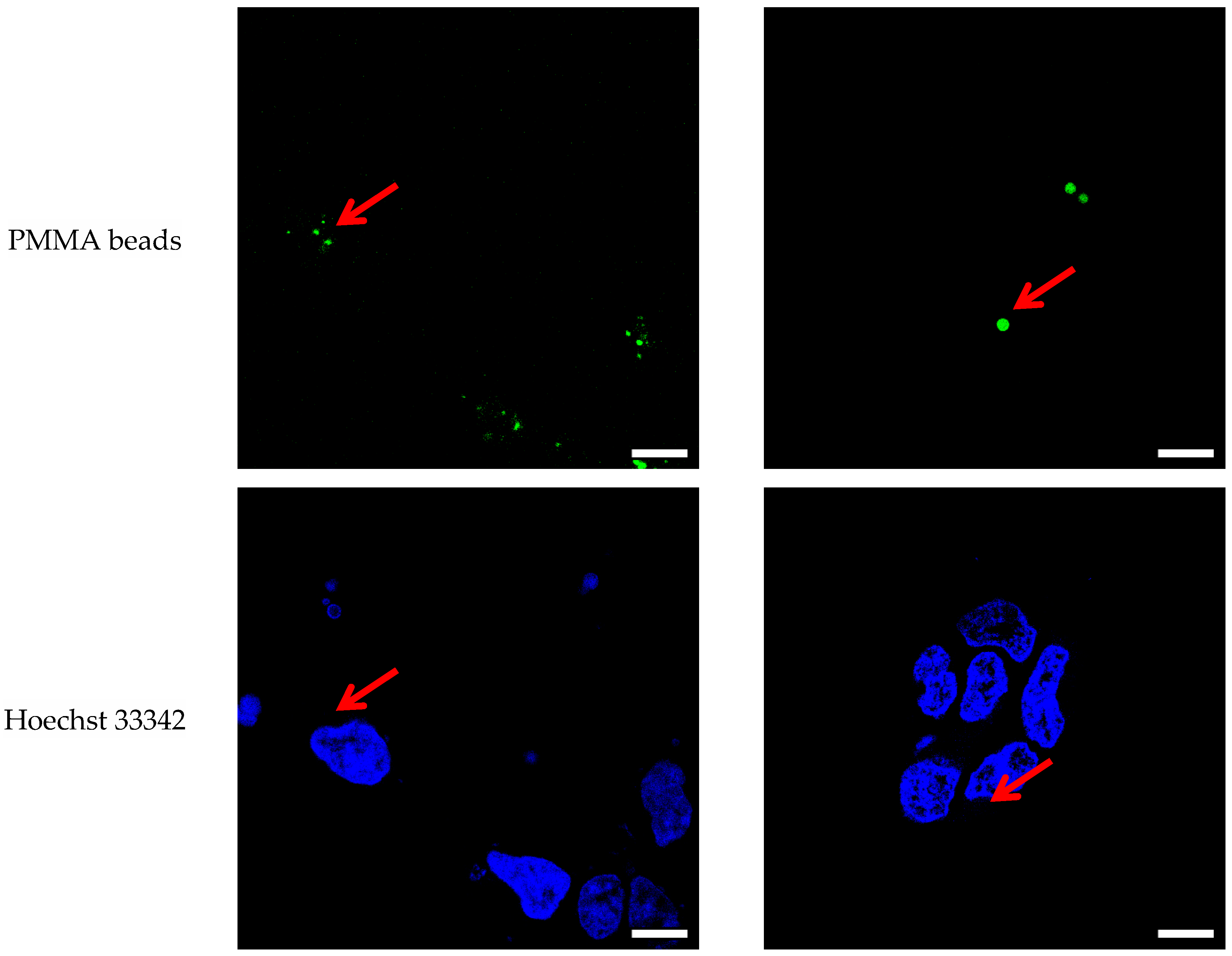 Microplastics 03 00012 g001a