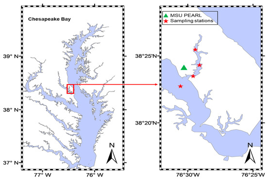Microplastics 03 00015 g001